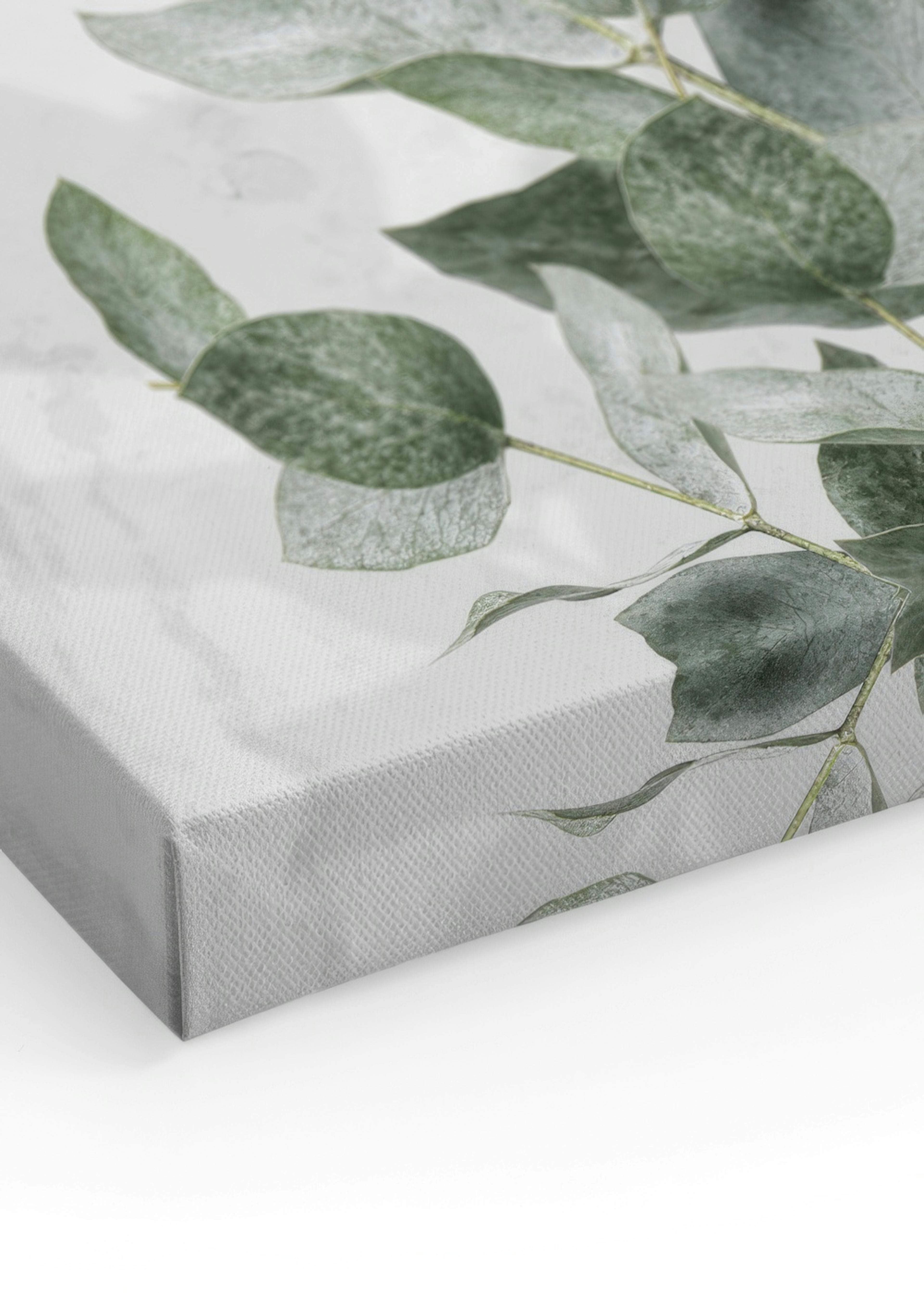 Eucalyptus Wall Stampa su tela thumbnail