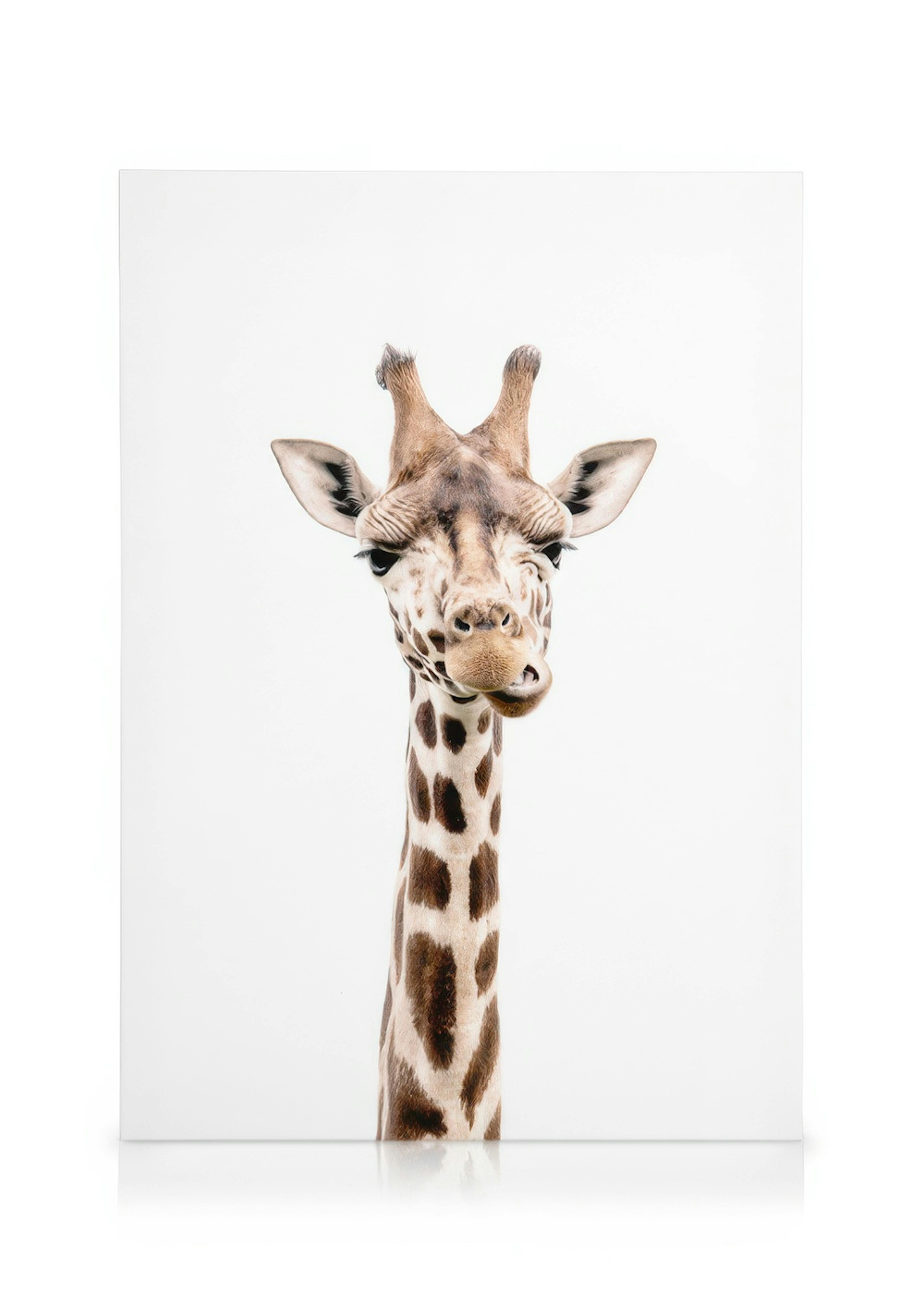 Giraffe Stampa su tela 0