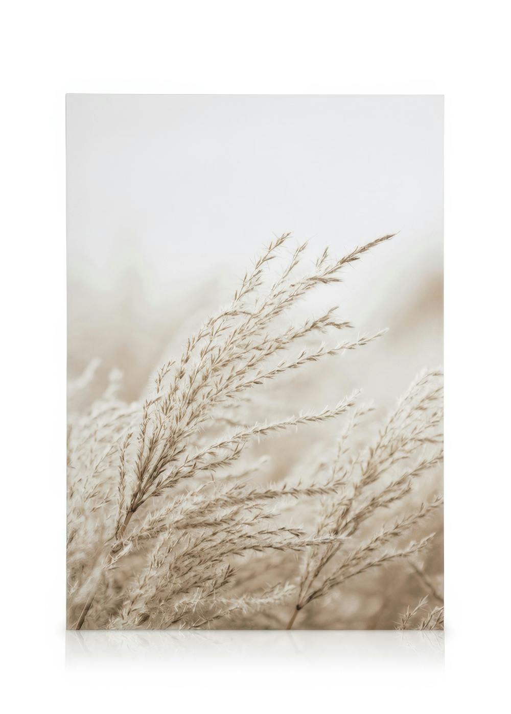 Canvastavlor - In the Reeds Canvastavla (50 x 70 cm - Svart ram) - Poster Store