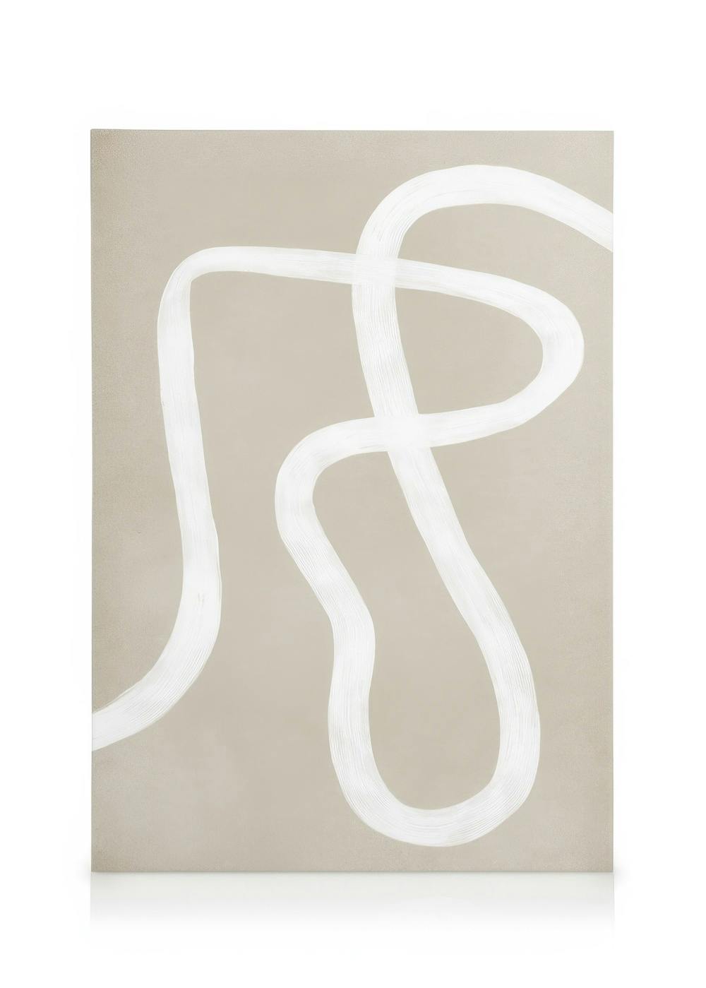 Curves Canvas (30x40 cm) - Poster Store