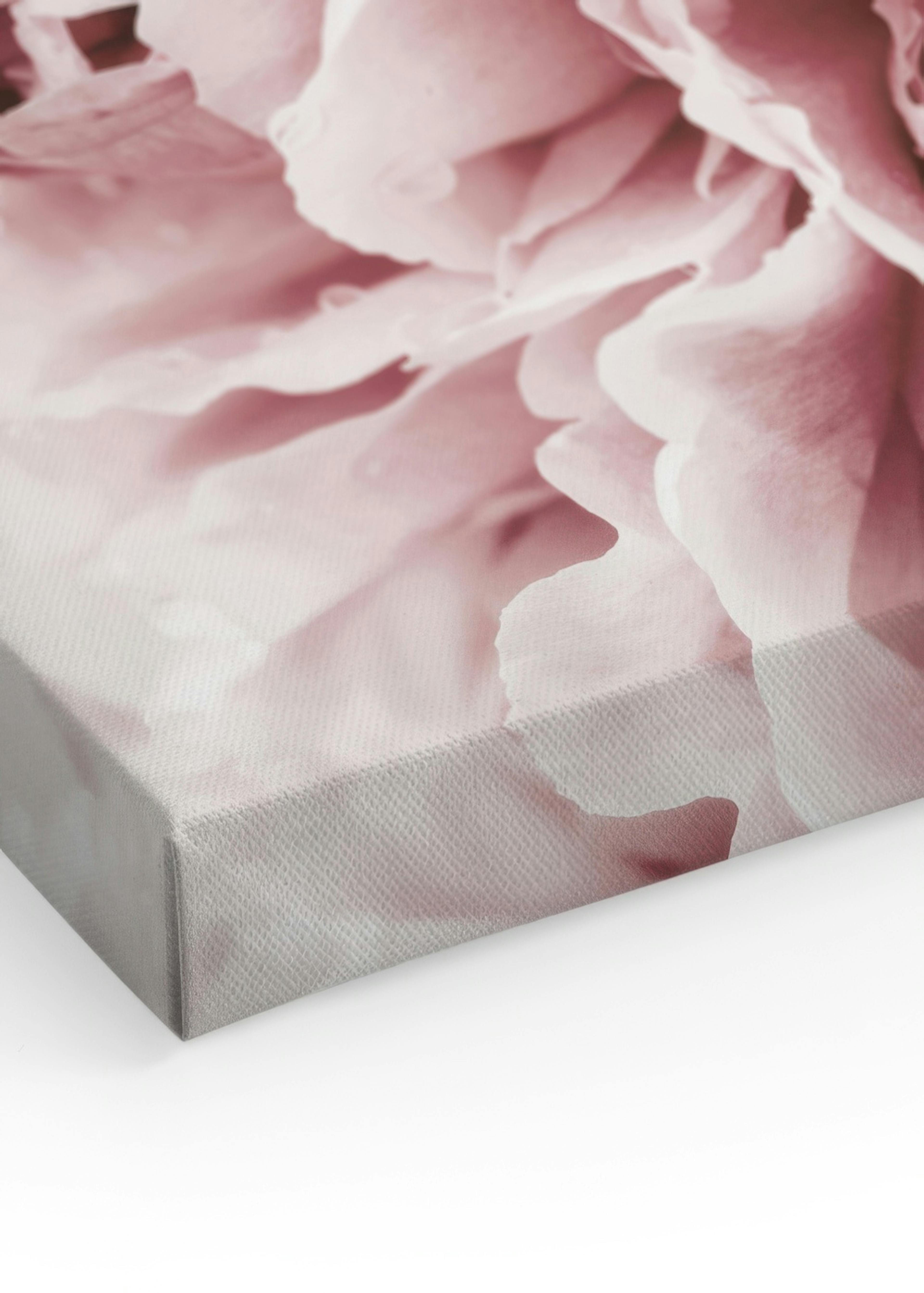 Pivoines roses Rêve Toile thumbnail