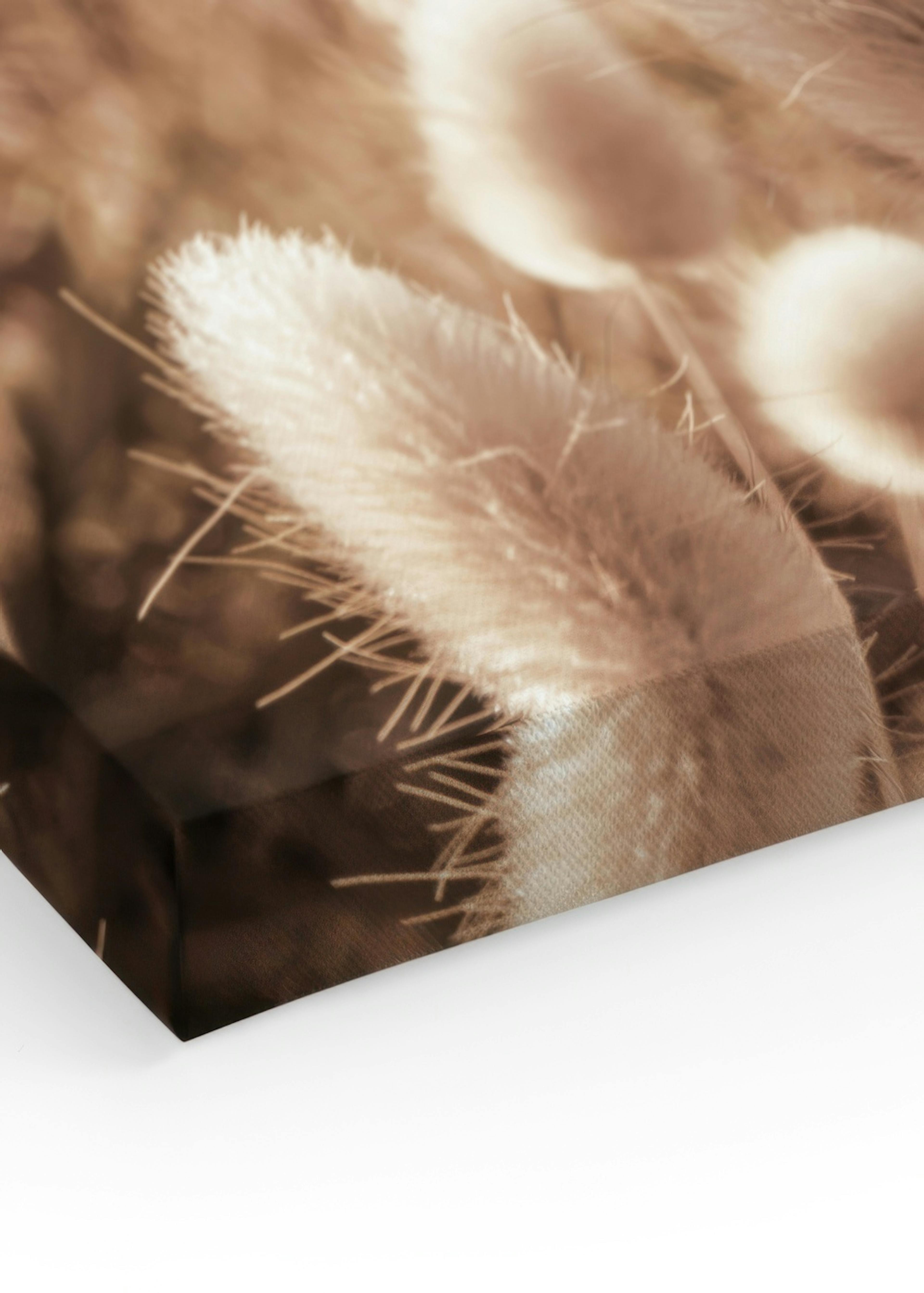 Herbe de Plage Toile thumbnail