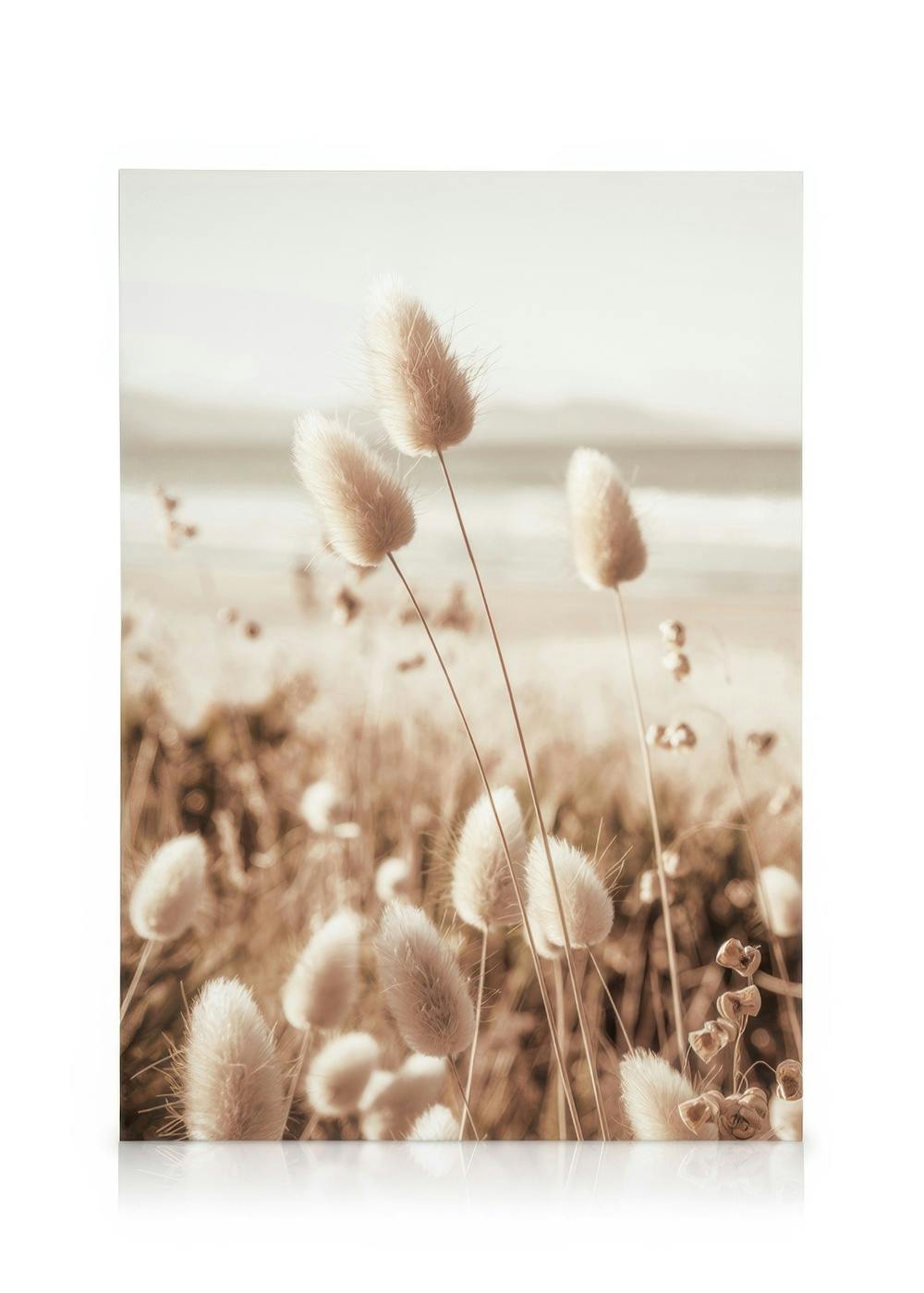 Strand Gras Canvas (30x40 cm - Fotolijst Eiken) - Poster Store