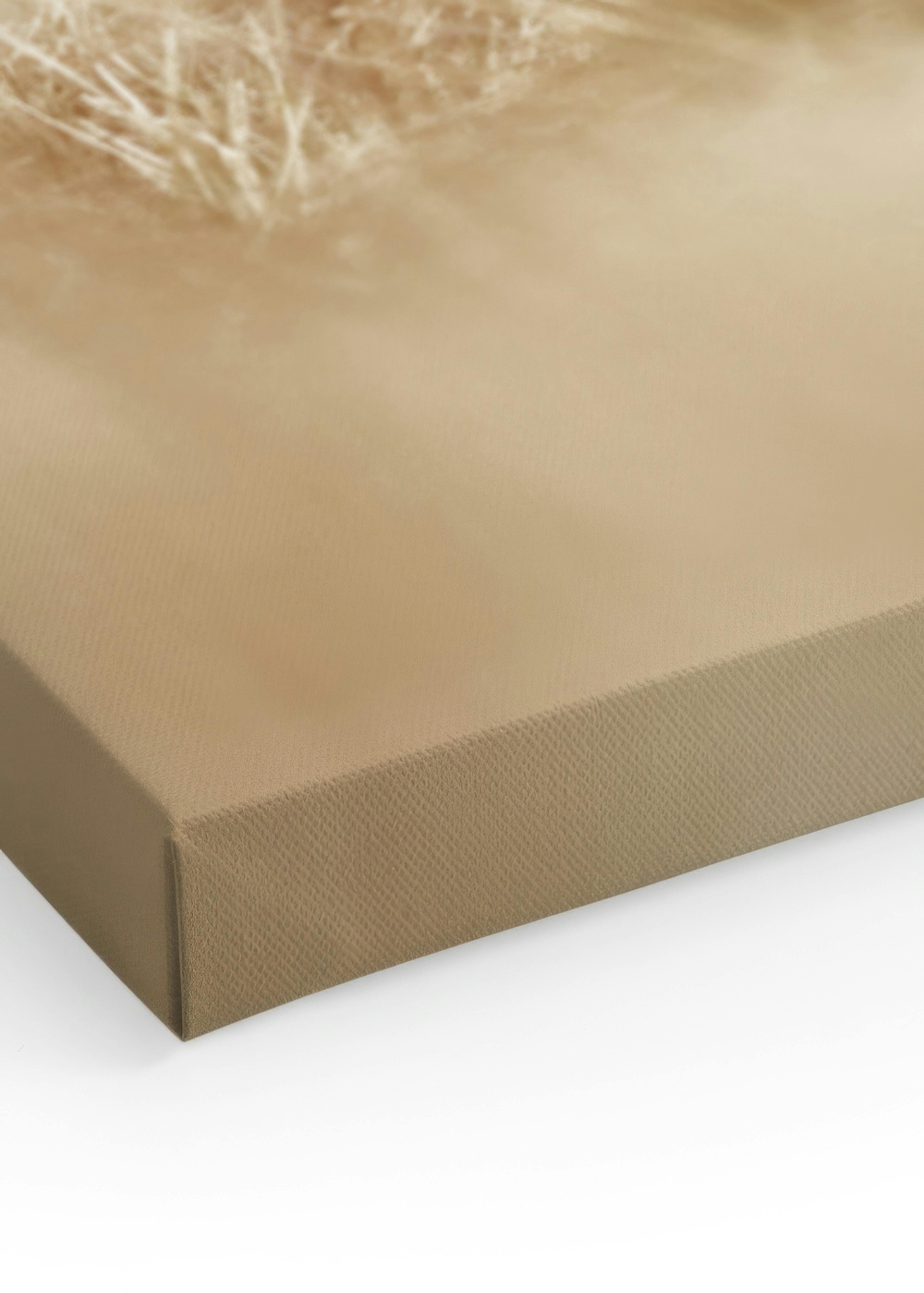 Fox Canvas print thumbnail