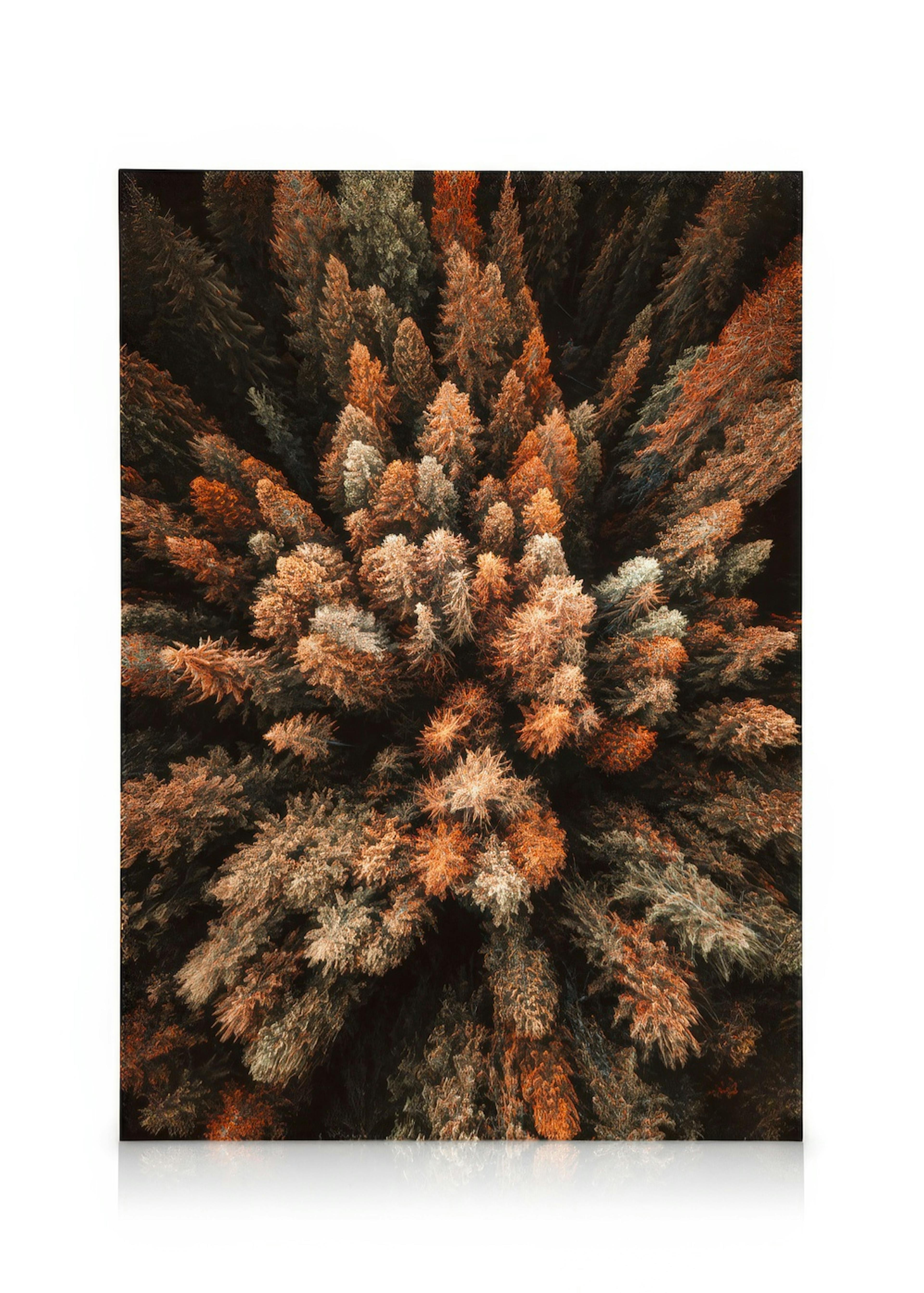 Herfstbos Canvas 0