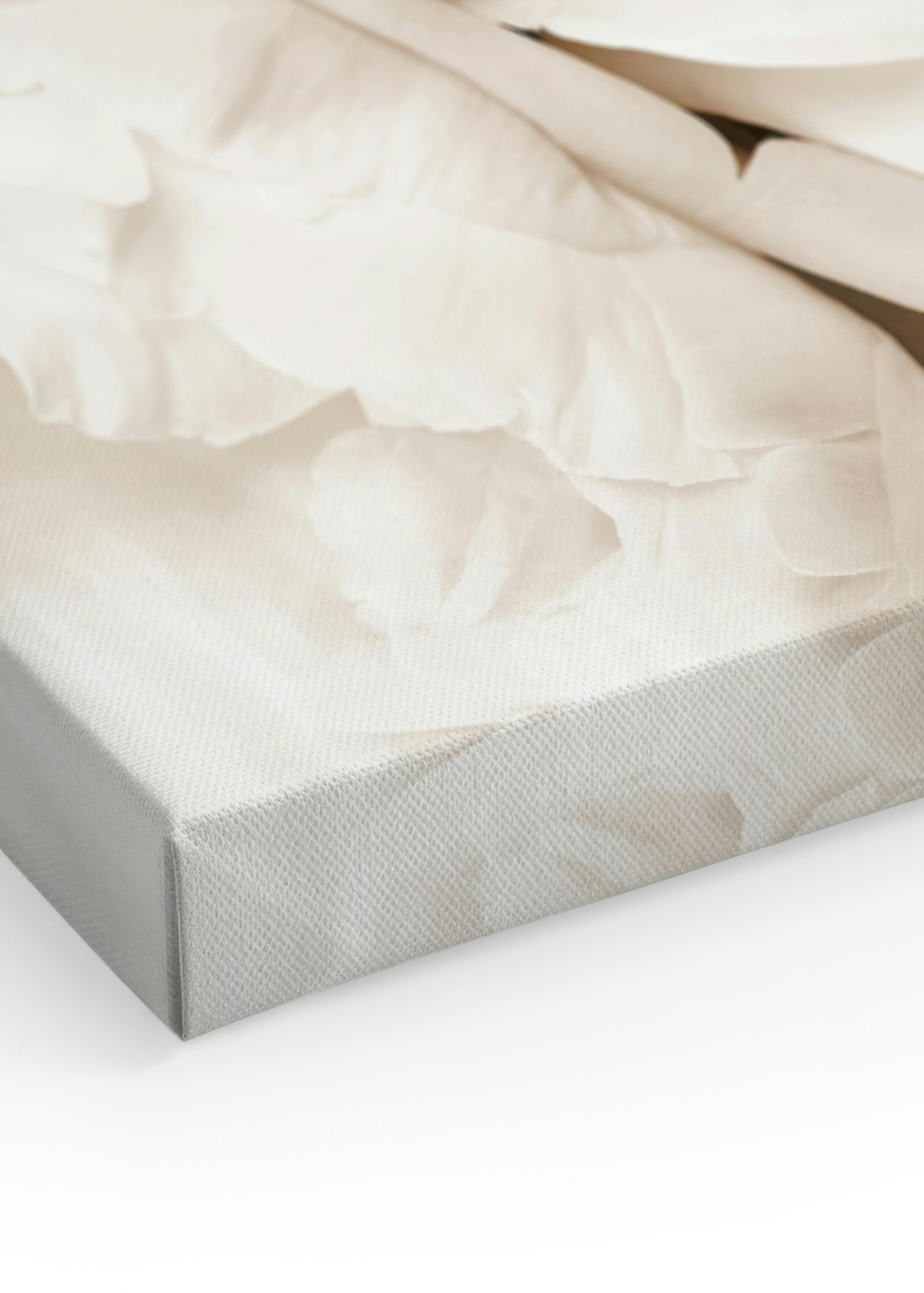 Witte Pioenen Canvas thumbnail