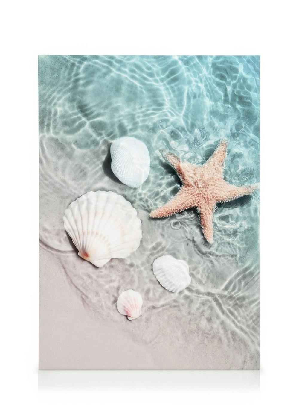 ÉToile de Mer et Coquillage Toile (50x70 cm - Cadre de chêne) - Poster Store