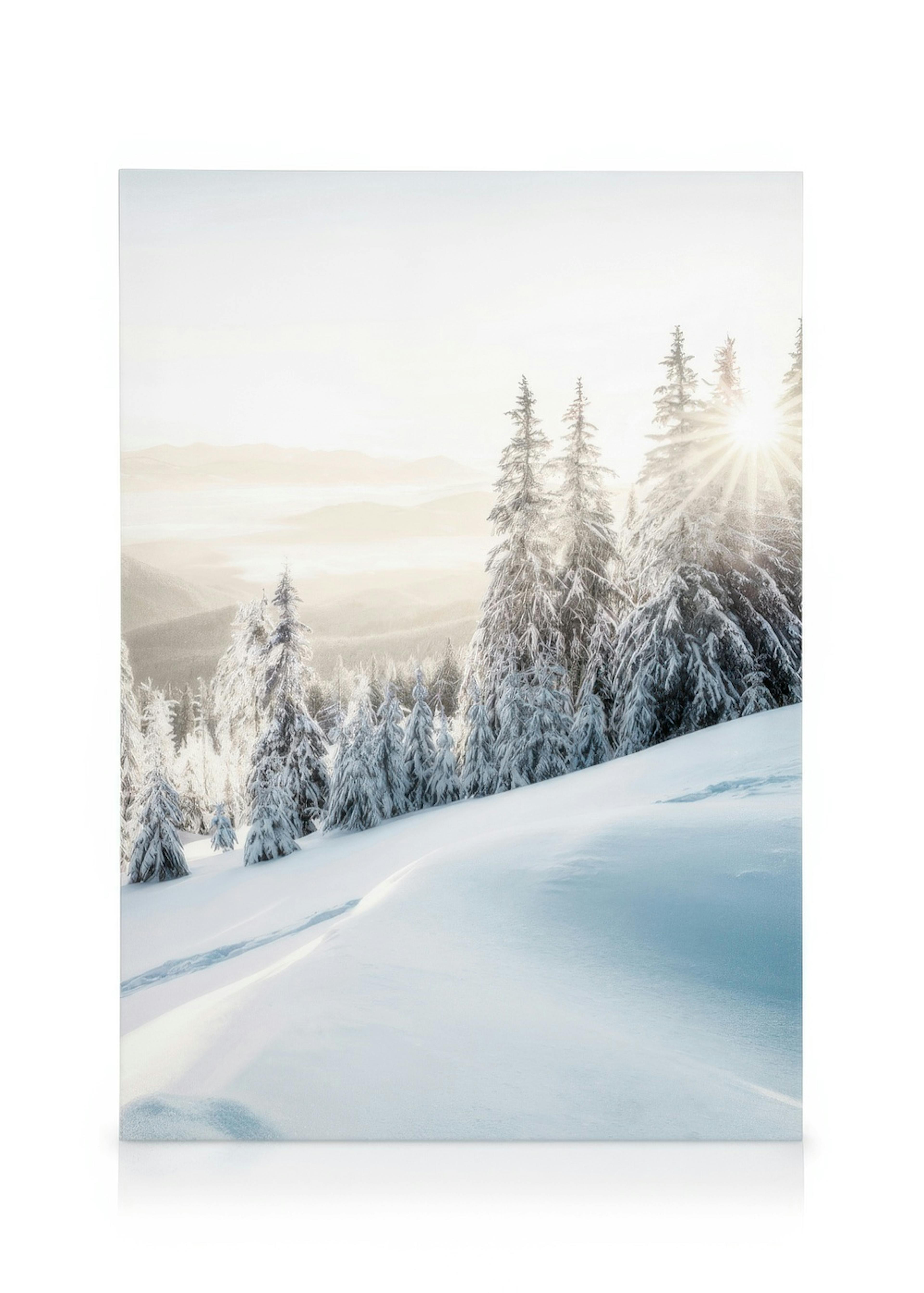 A canvas showing a snow-covered mountain landscape with evergreen trees and bright sun rays.