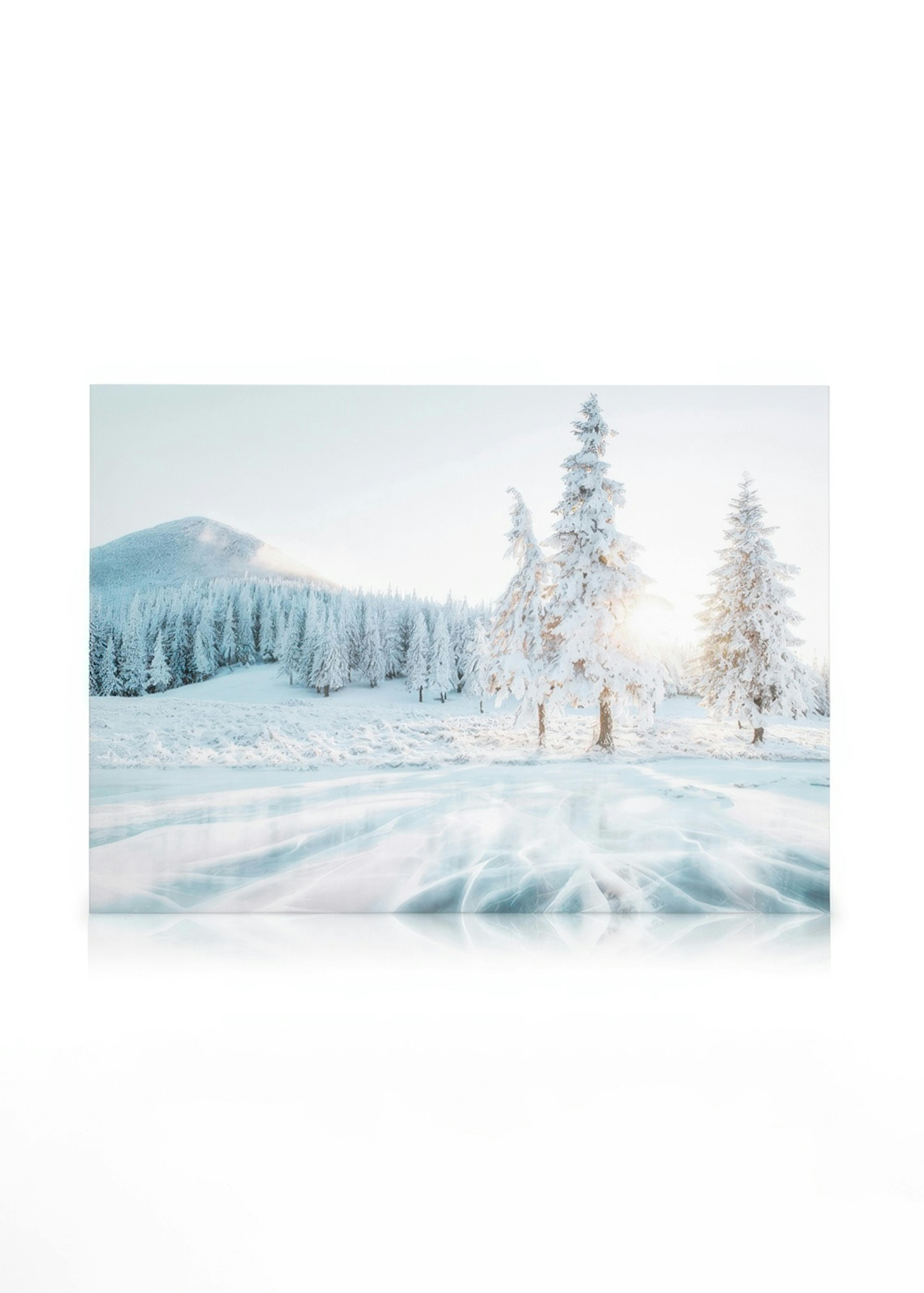 Frozen Lake Toile 0