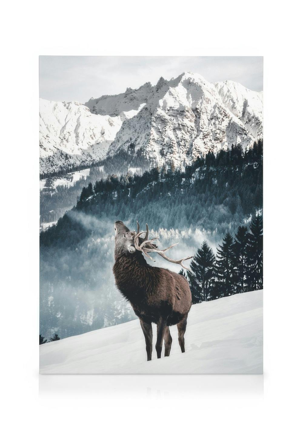 Winter Deer Canvas (50x70 cm - Fotolijst Zwart) - Poster Store