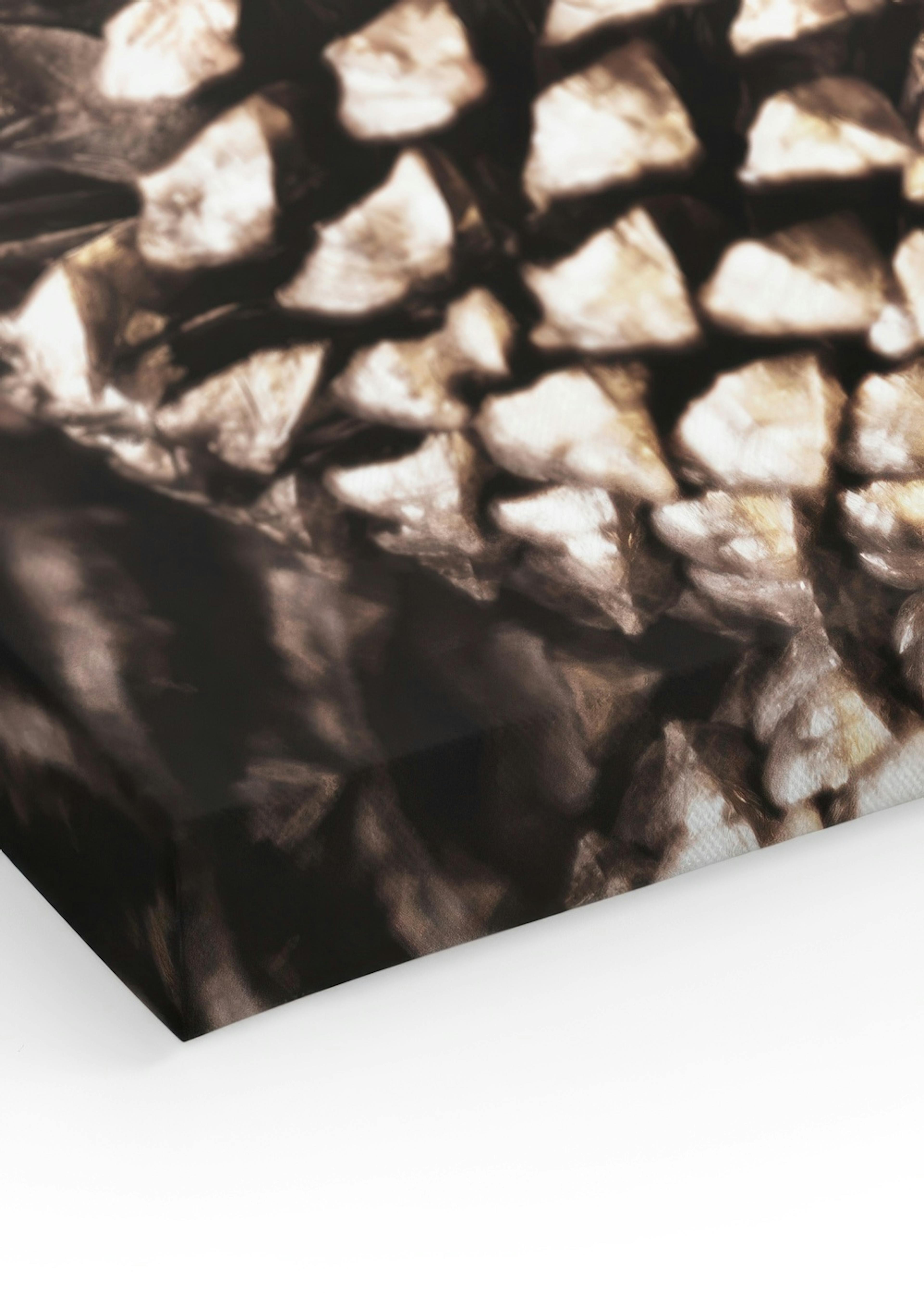 Pine Cones Stampa su Tela thumbnail