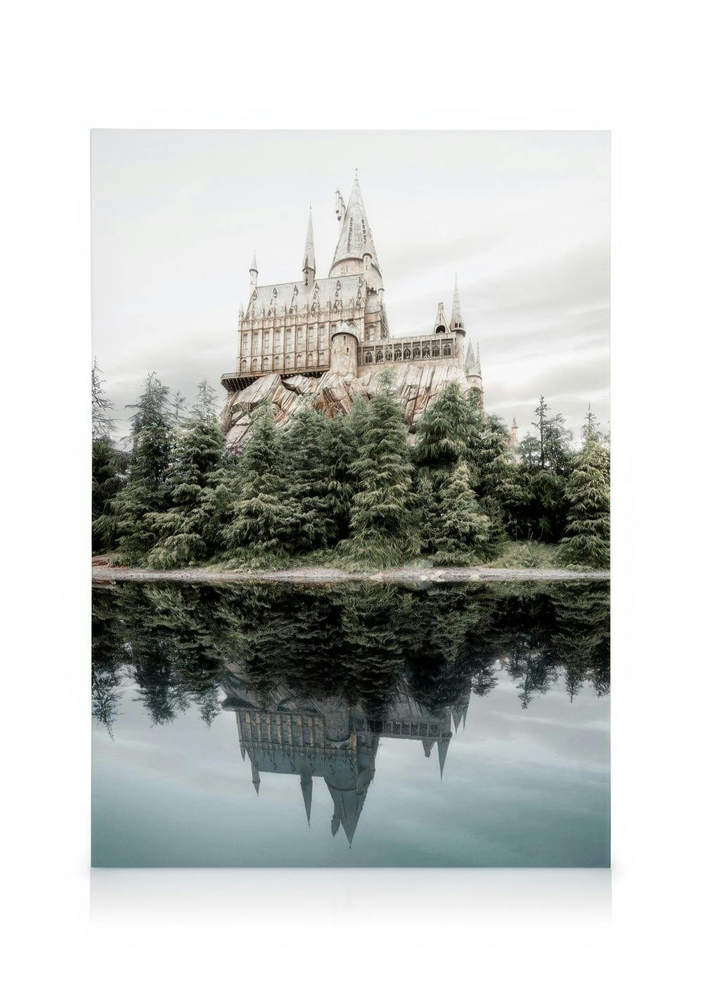 Magisch Kasteel Canvas (50x70 cm - Fotolijst Eiken) - Poster Store