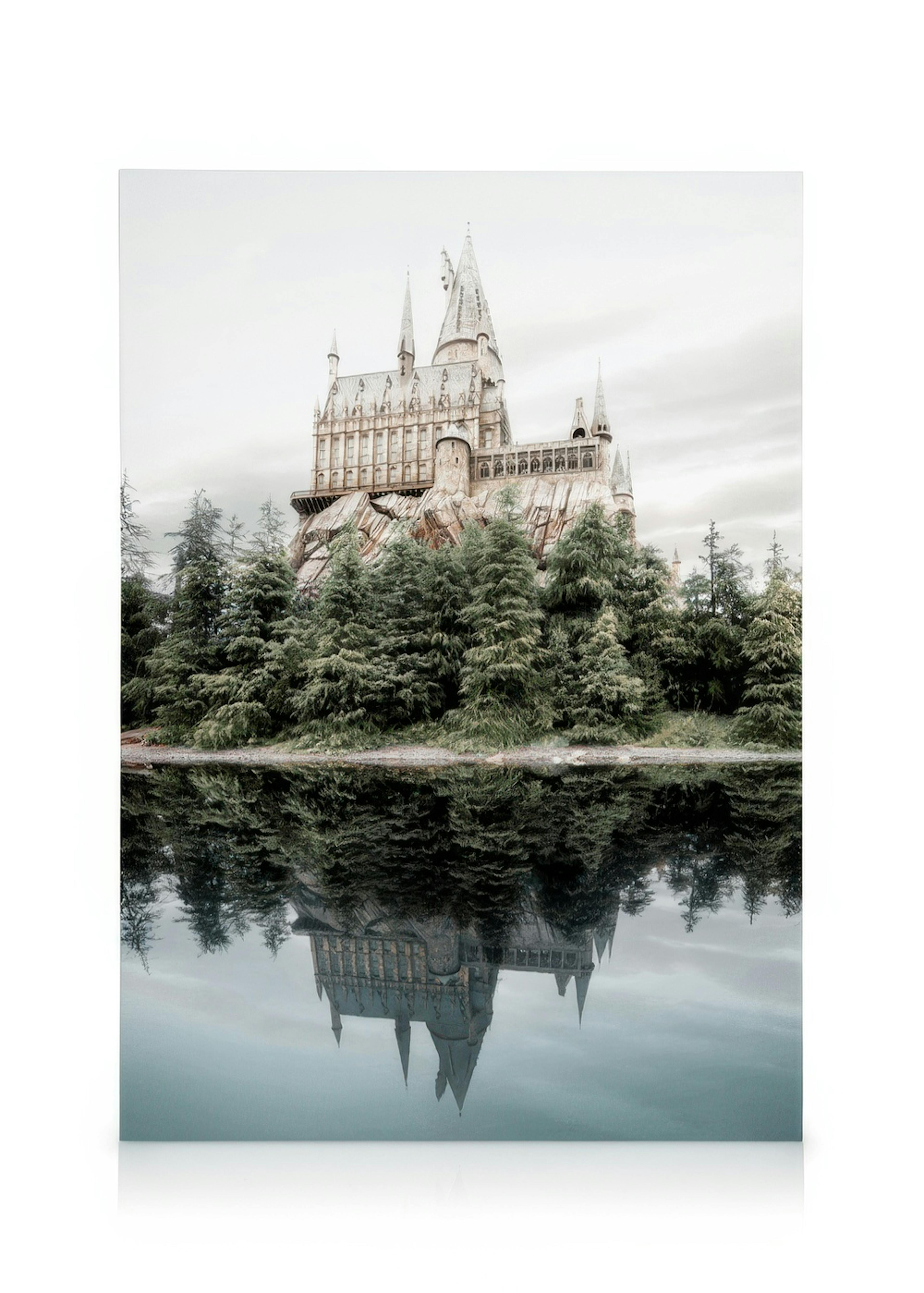 Castle of Magic Canvas print 0