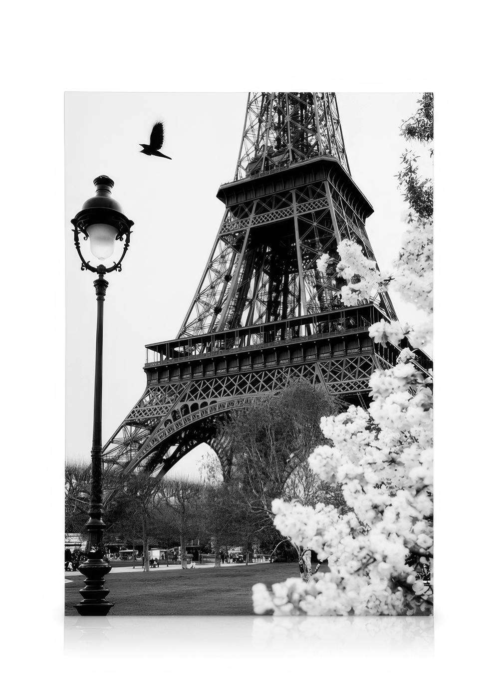 Rue de Paris Toile (50x70 cm - Cadre noir) - Poster Store