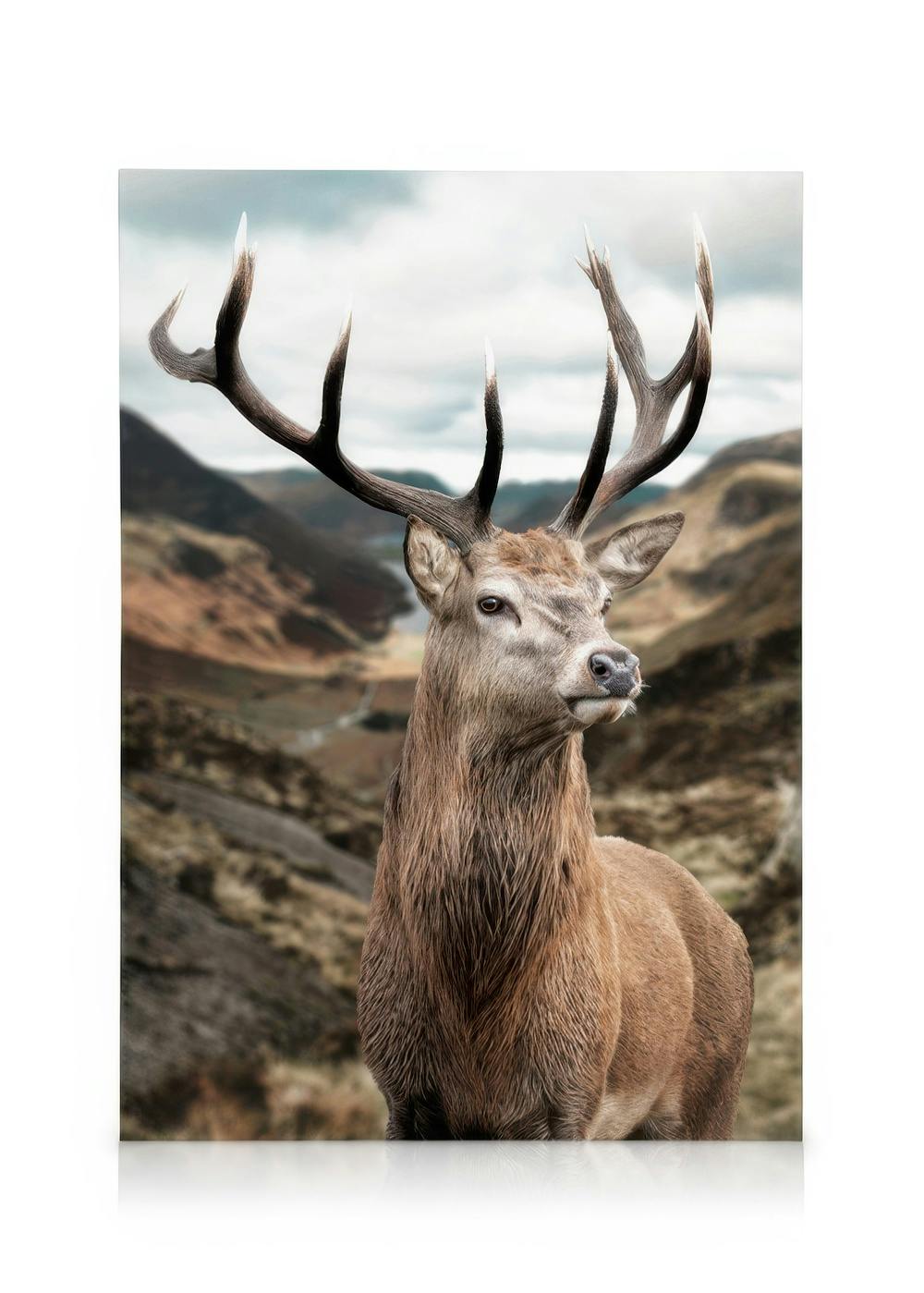 A majestic red deer stag with large antlers on a canvas, set against a backdrop of a cloudy mountain landscape.
