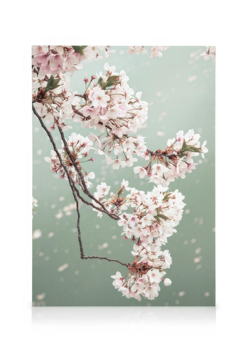 Kersenbloesem canvas (50x70 cm) - Poster Store