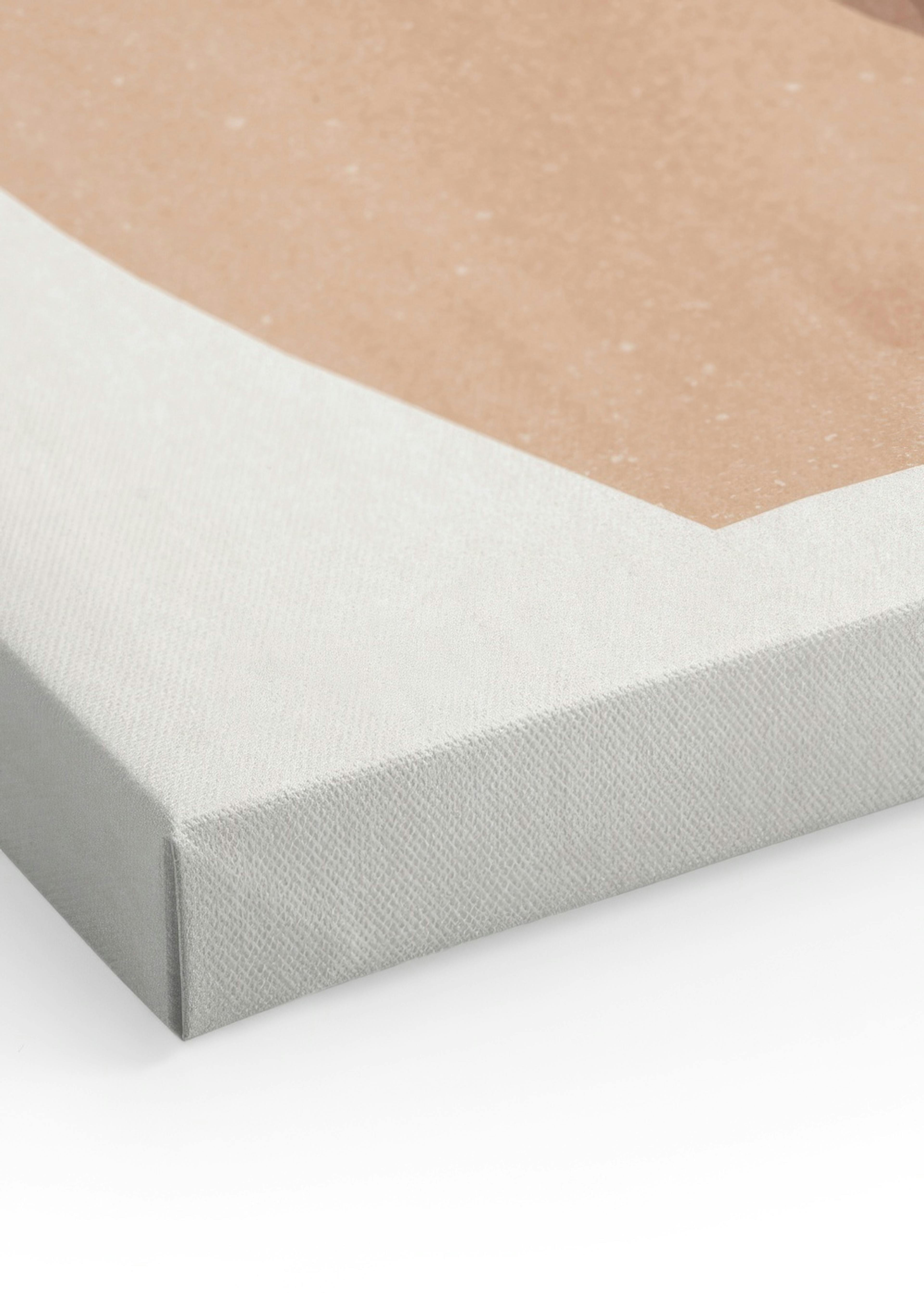 Plant Vases Canvas print thumbnail