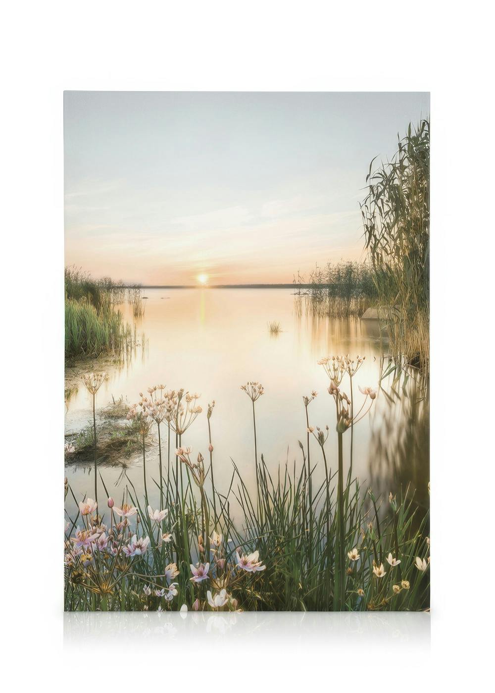 Obraz Letni Wschód Słońca (50x70 cm) - Poster Store