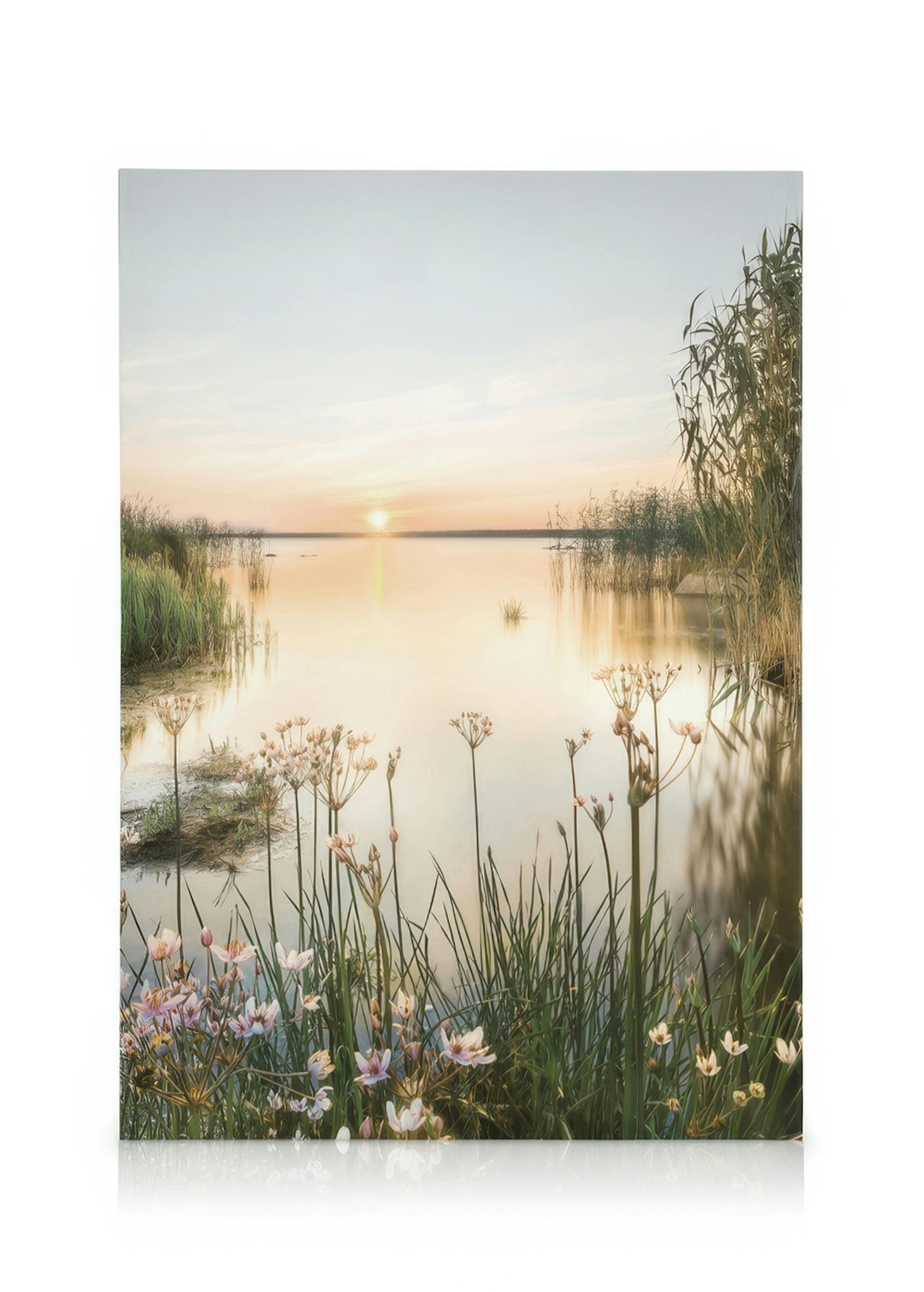 Summer Dawn Canvas print 0