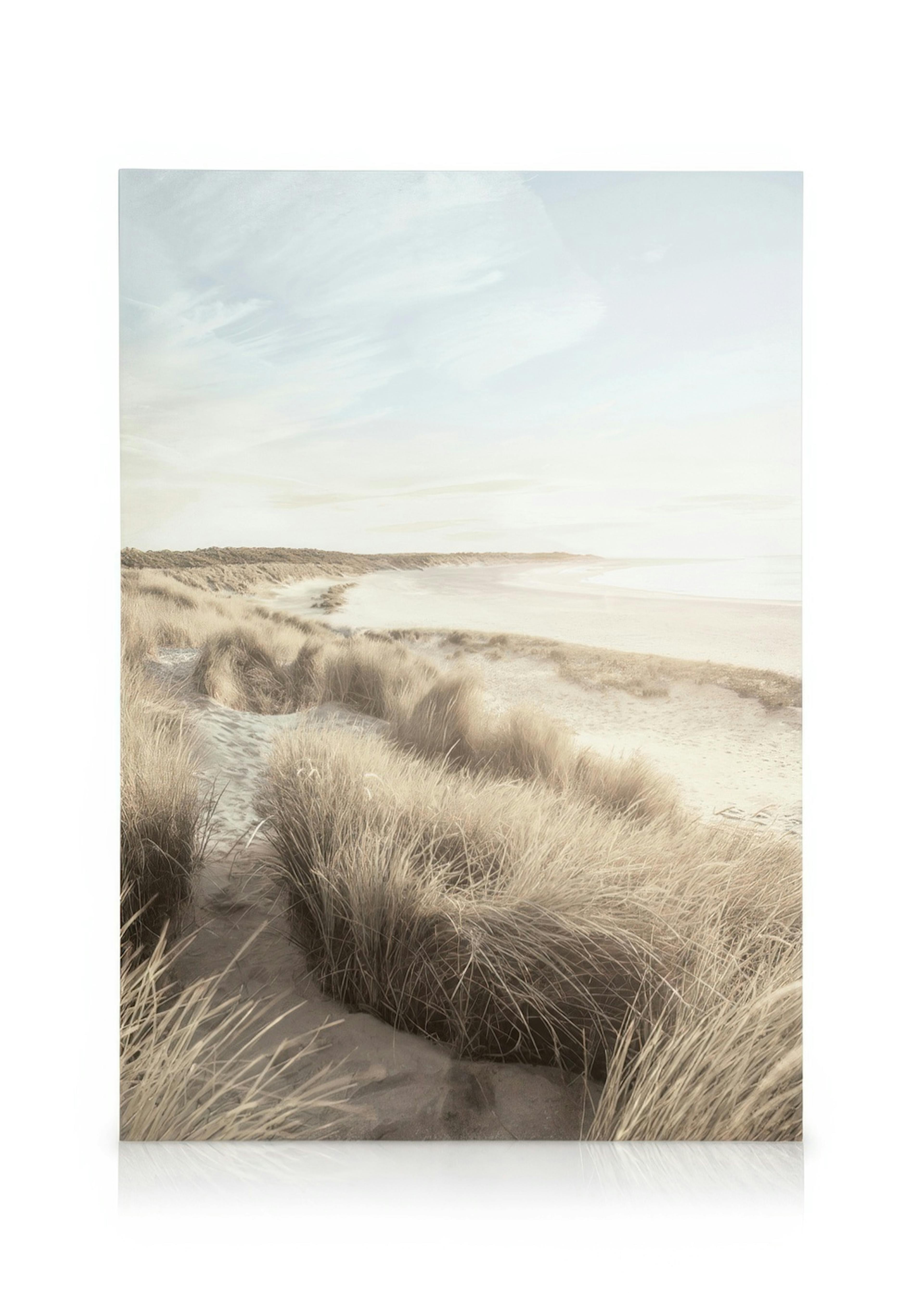 Herbe Dunes de Plage Toile 0