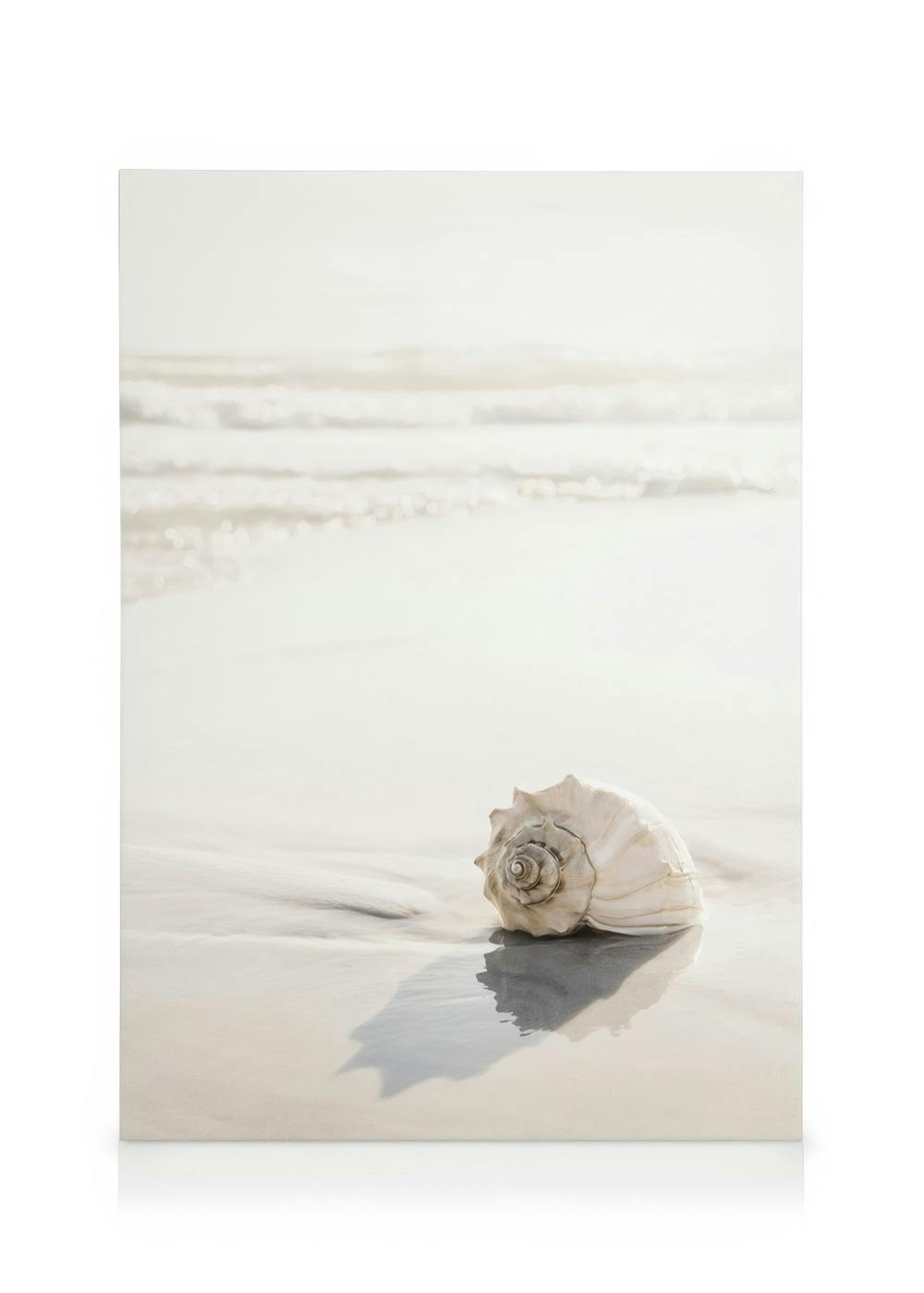 A light-toned canvas print showing a white seashell on a sandy beach with subtle waves in the background.