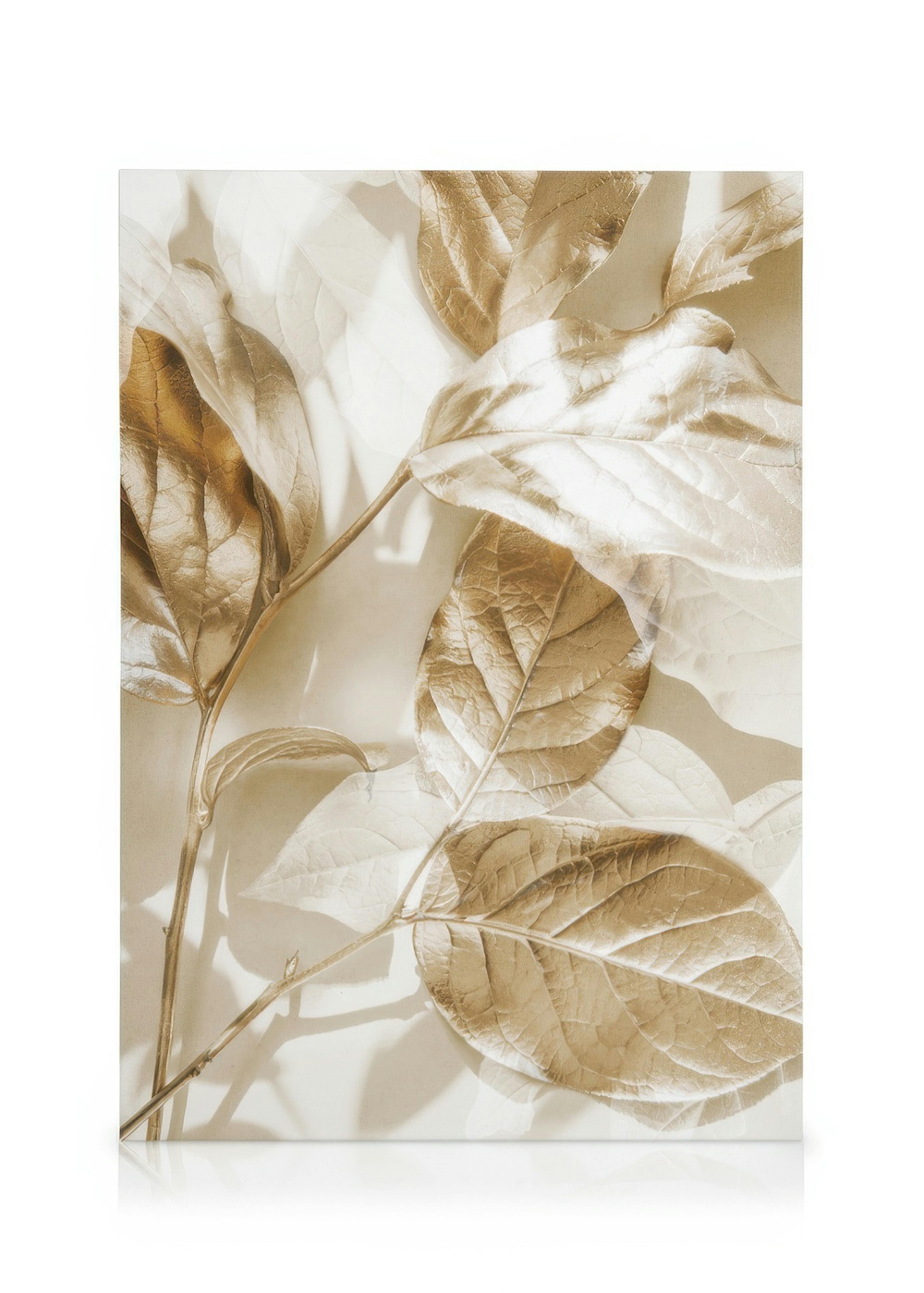 Eucalyptus Gold No1 Canvas print 0