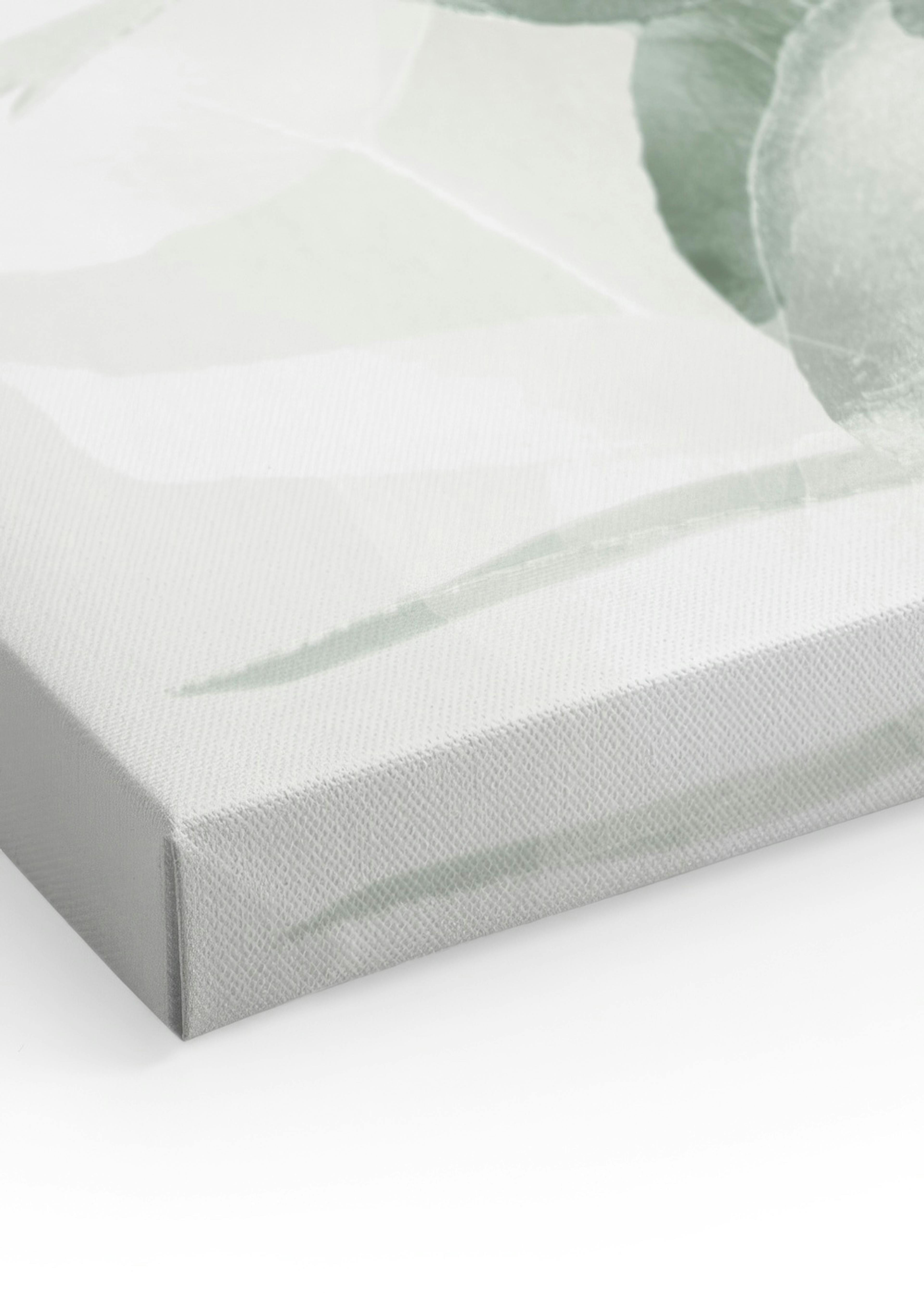 Nuances Eucalyptus No2 Toile thumbnail