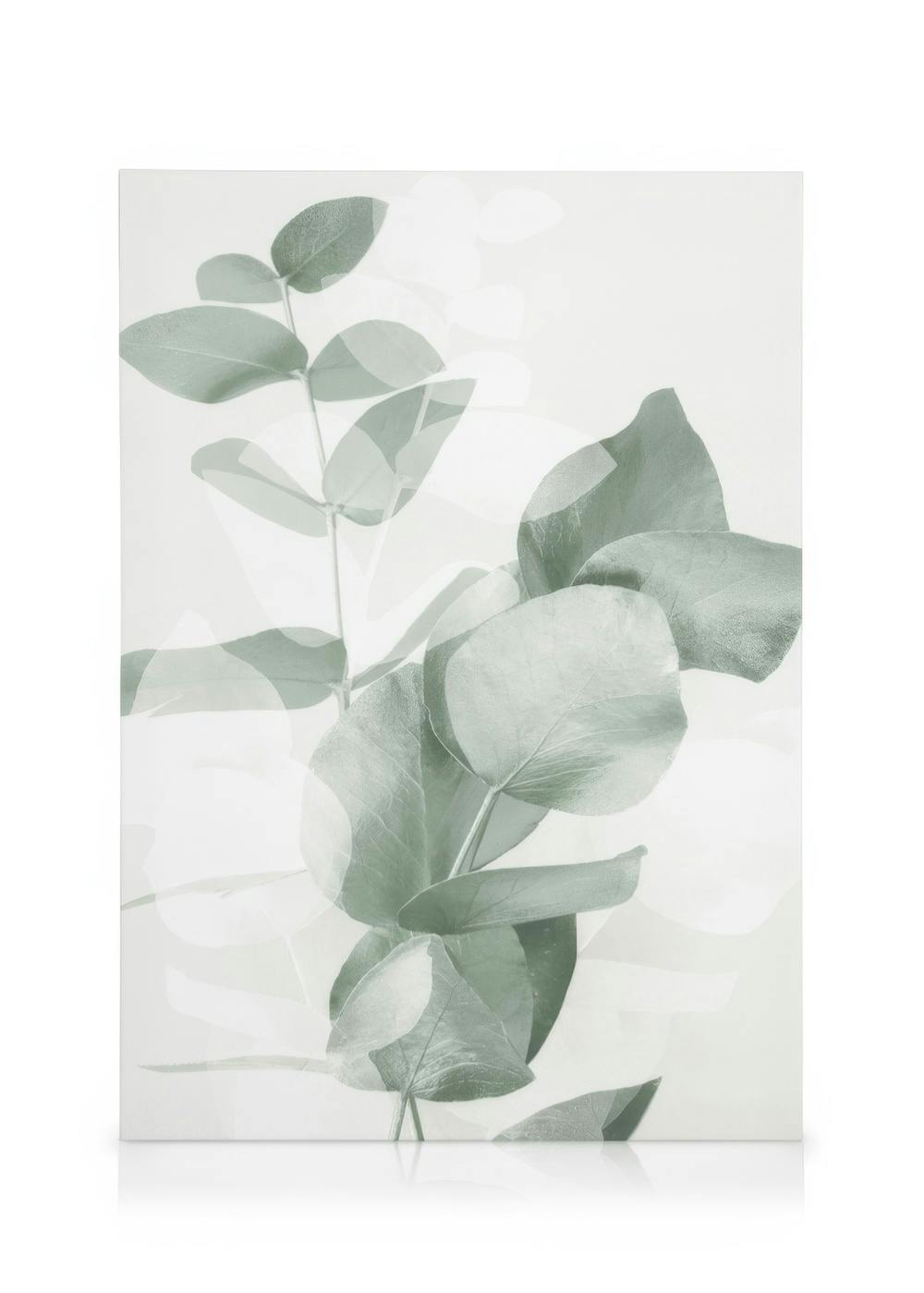 Eucalyptus Shades No2 Canvas print (30x40 cm) - Poster Store