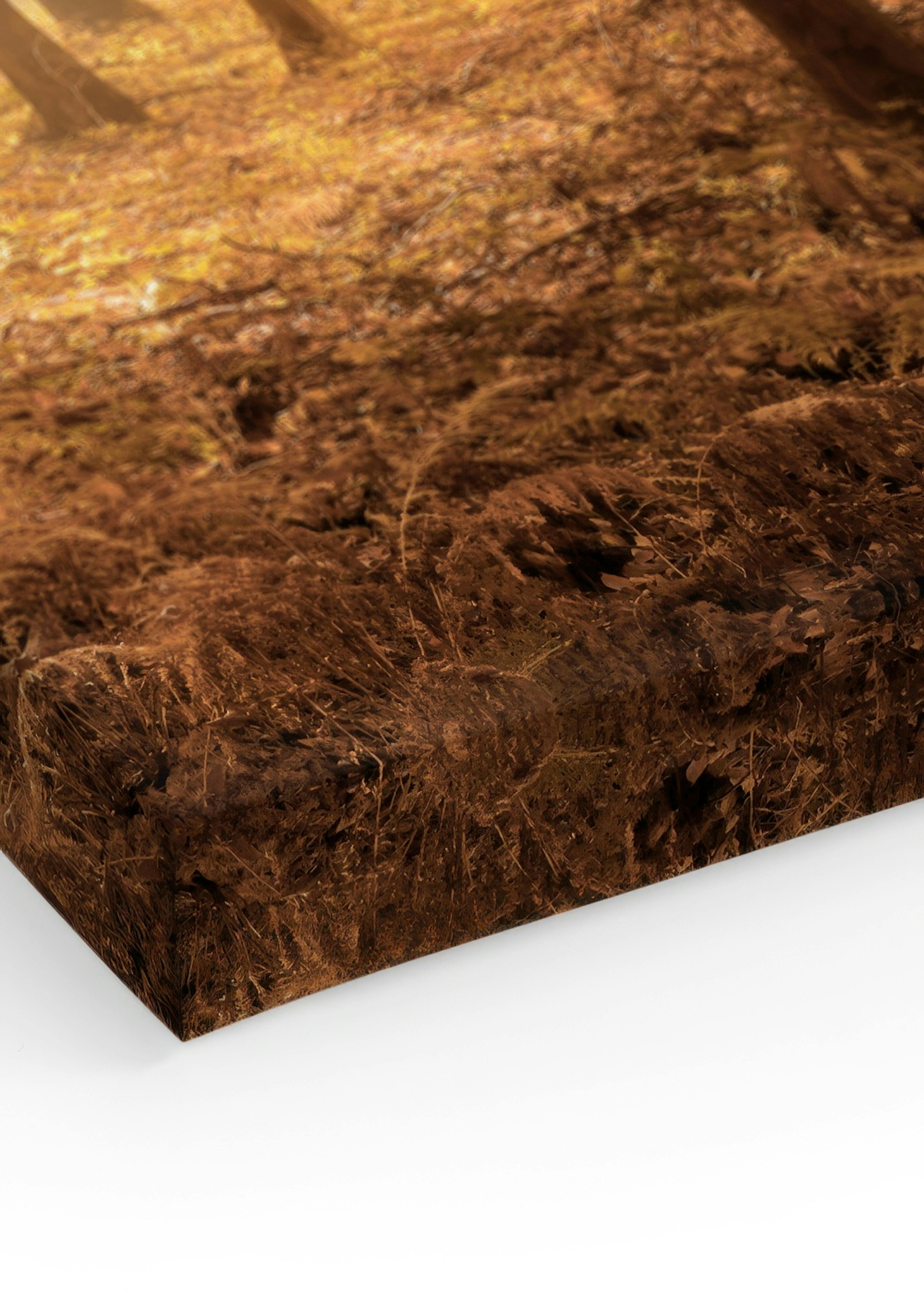 Autumn Trees Canvas print thumbnail