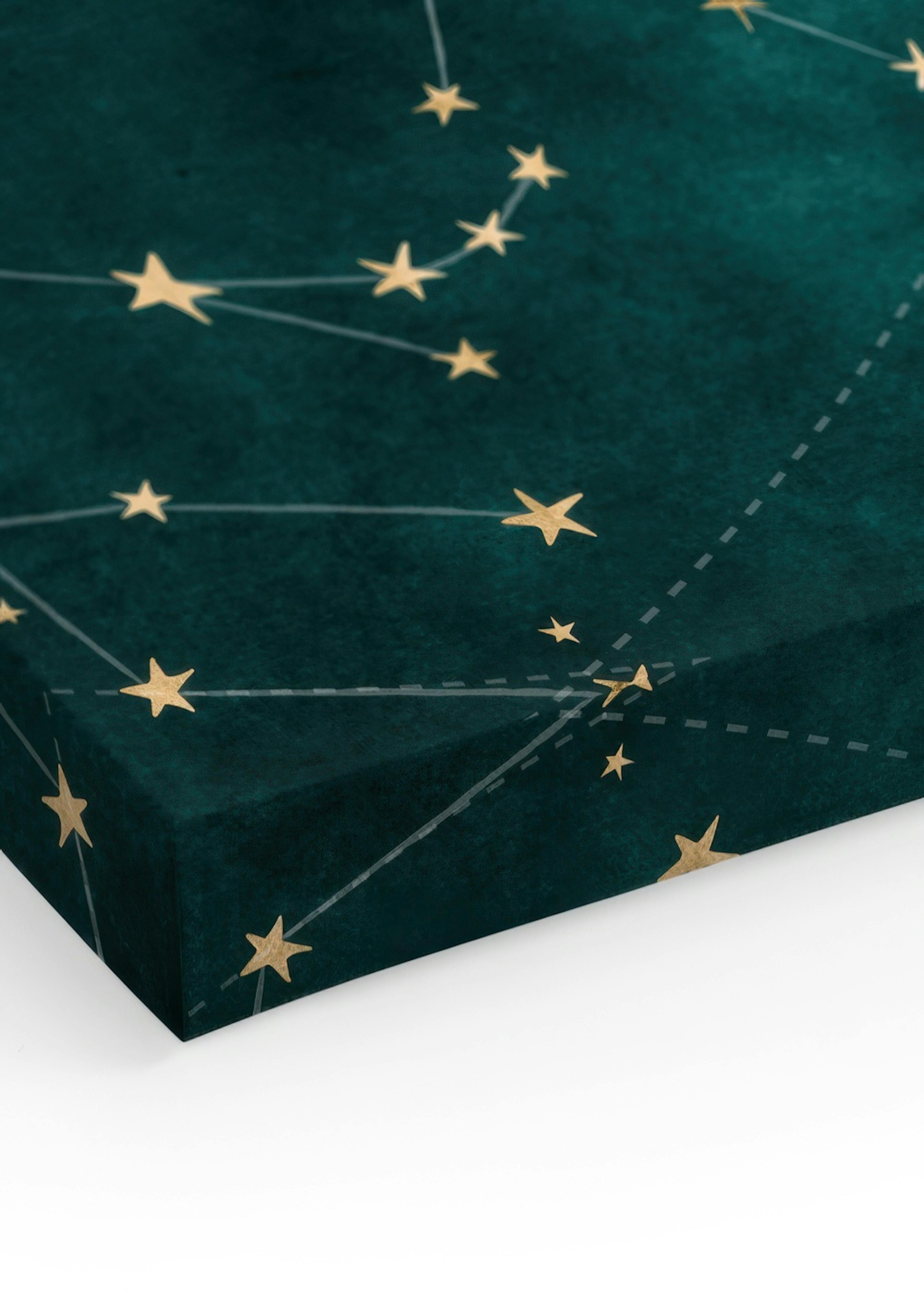 It's Written in the Stars Toile thumbnail