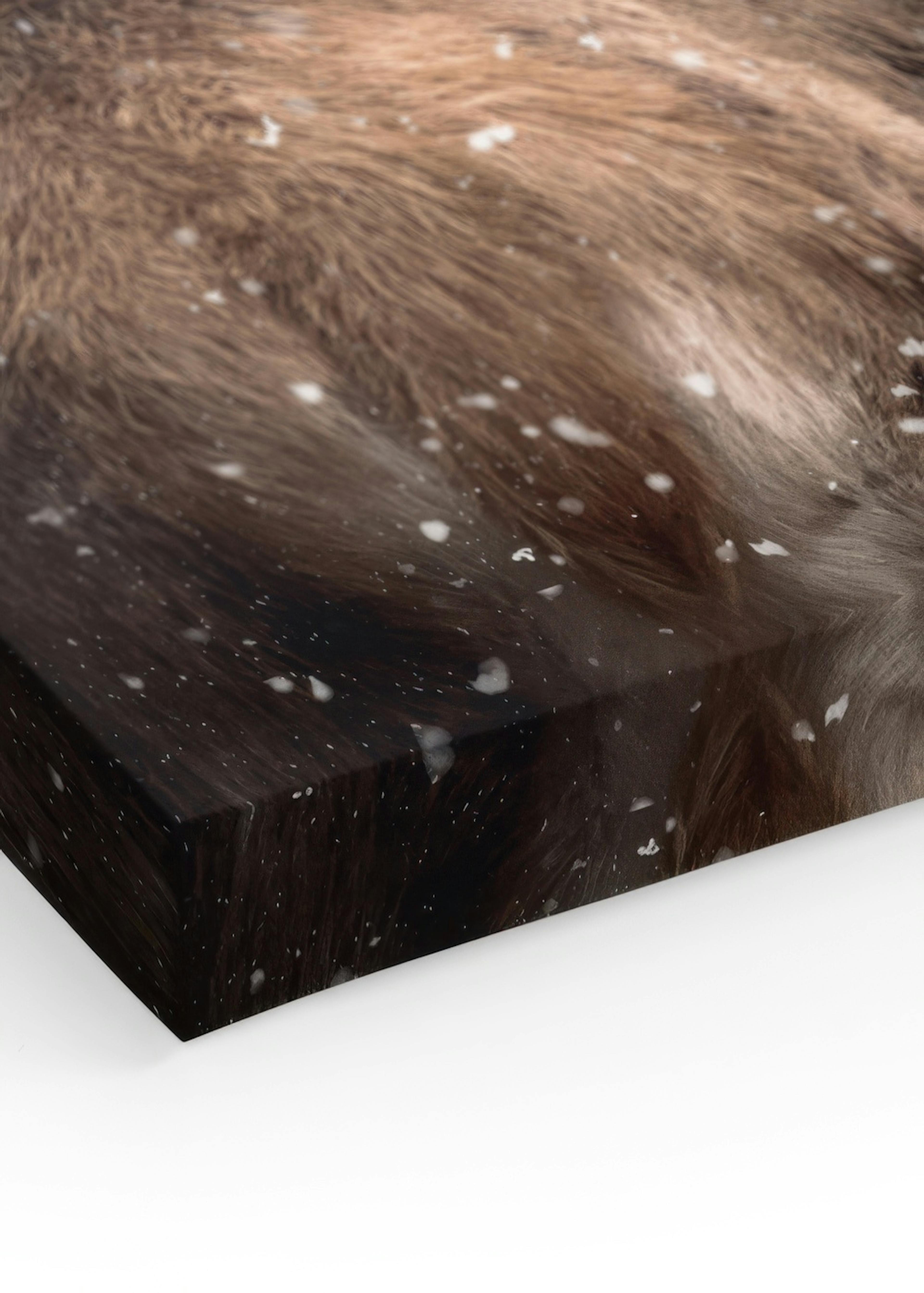 Red Deer in Snow Lerretsbilde thumbnail