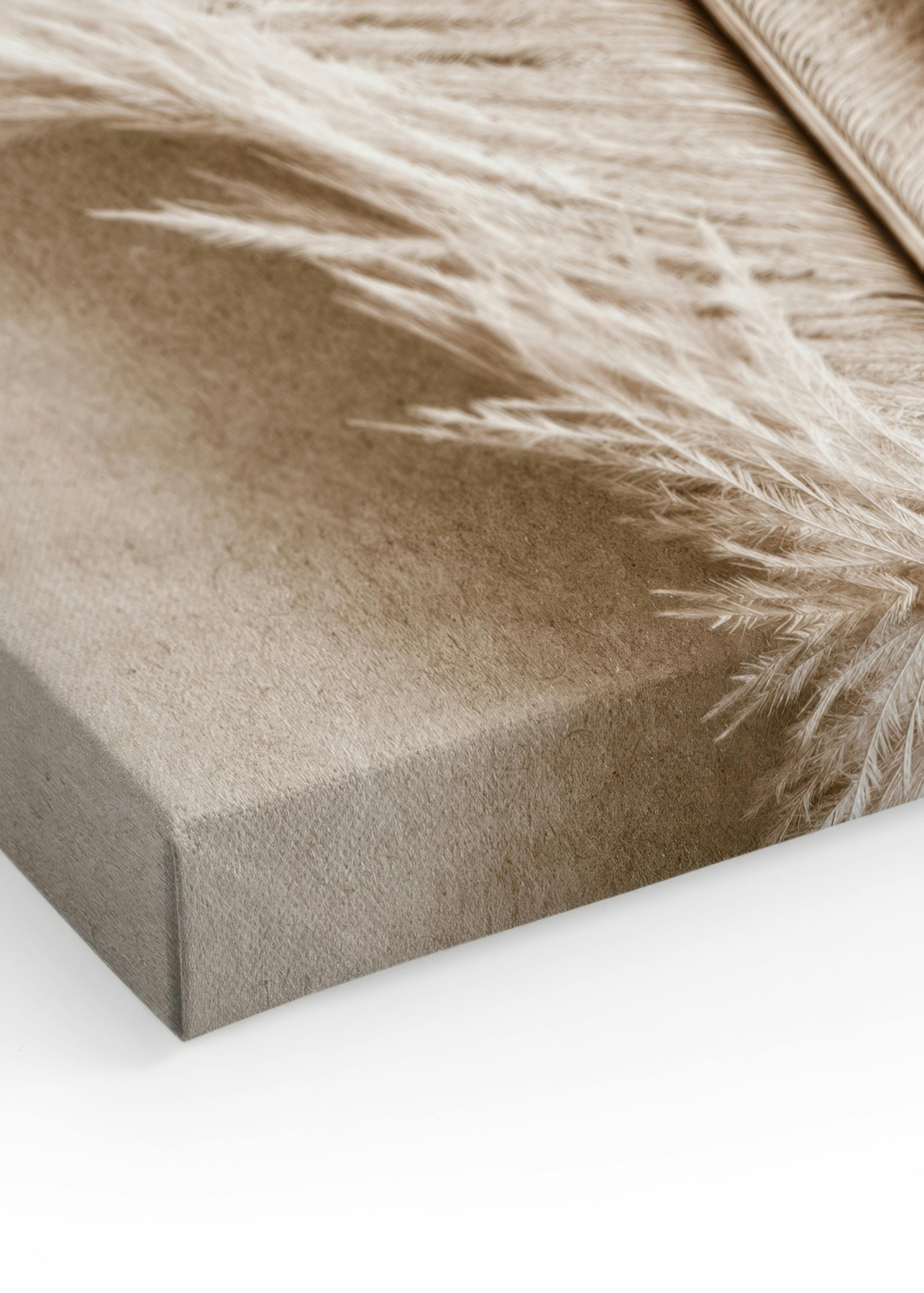 Soft Feather Canvas print thumbnail