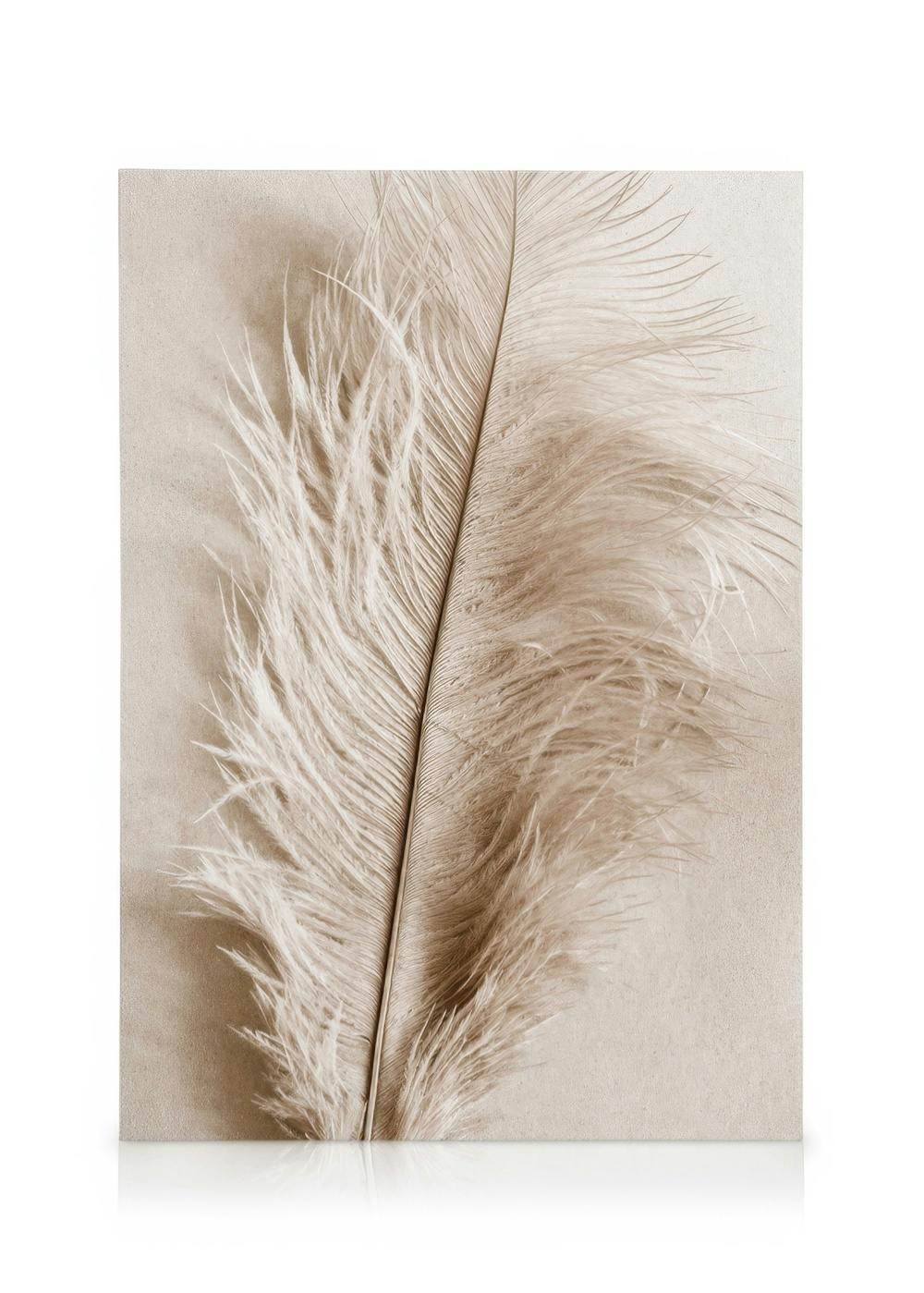 Zachte Veer Canvas (30x40 cm - Fotolijst Zwart) - Poster Store