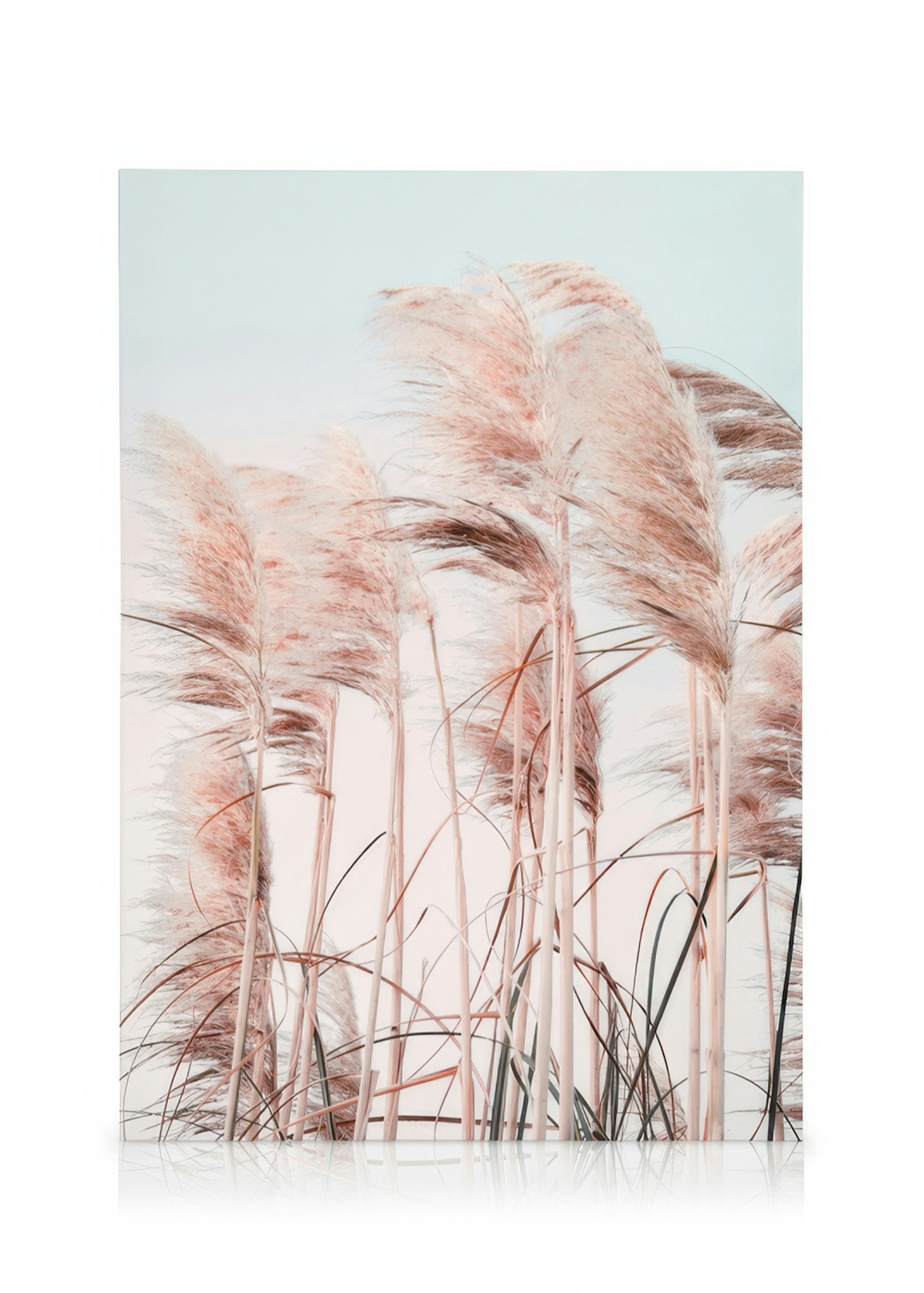 Pink Beach Grass Canvas print