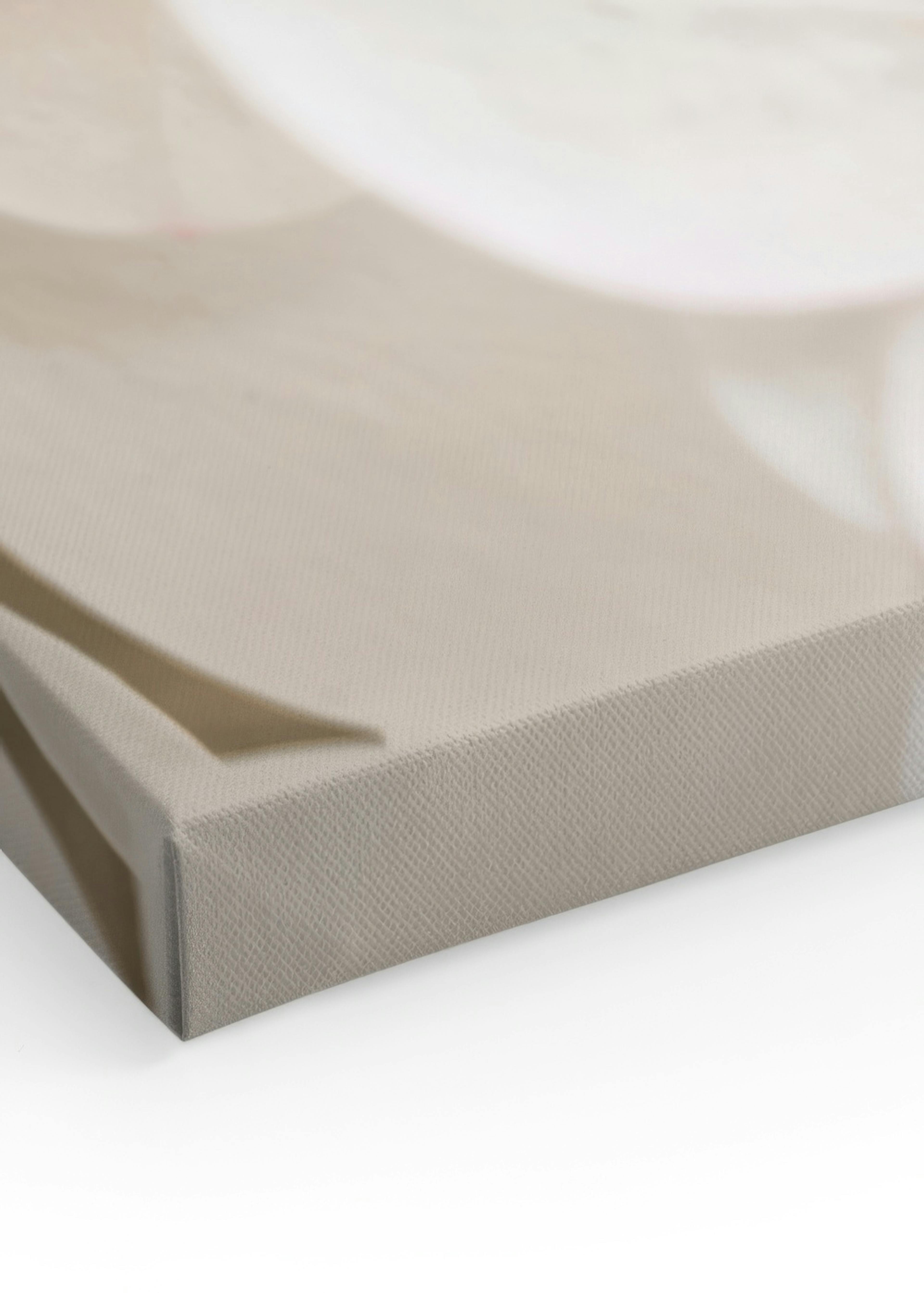Soft White Bloom Canvas print thumbnail