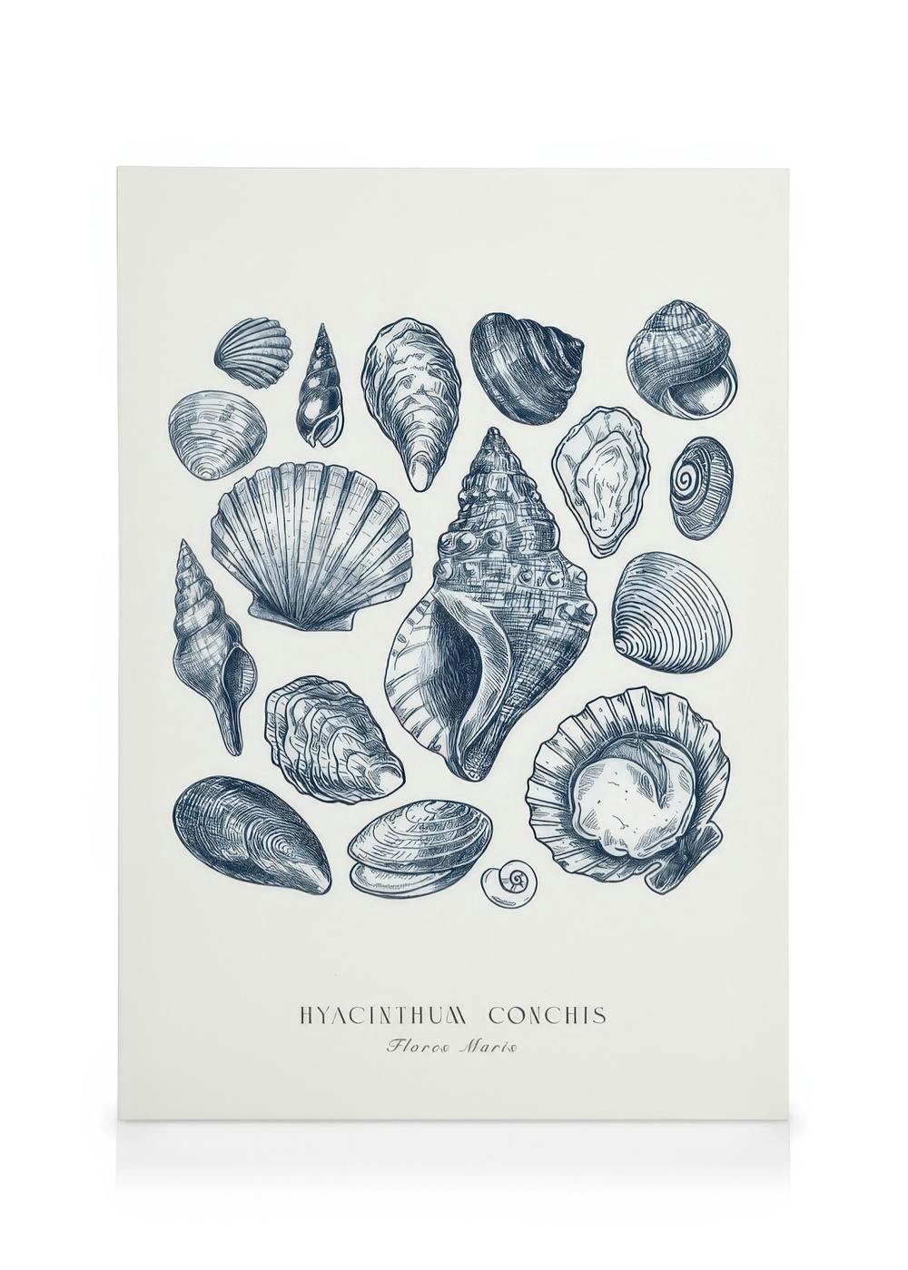 Blaue Muscheln Leinwand (30x40 cm - Eichenrahmen) - Poster Store
