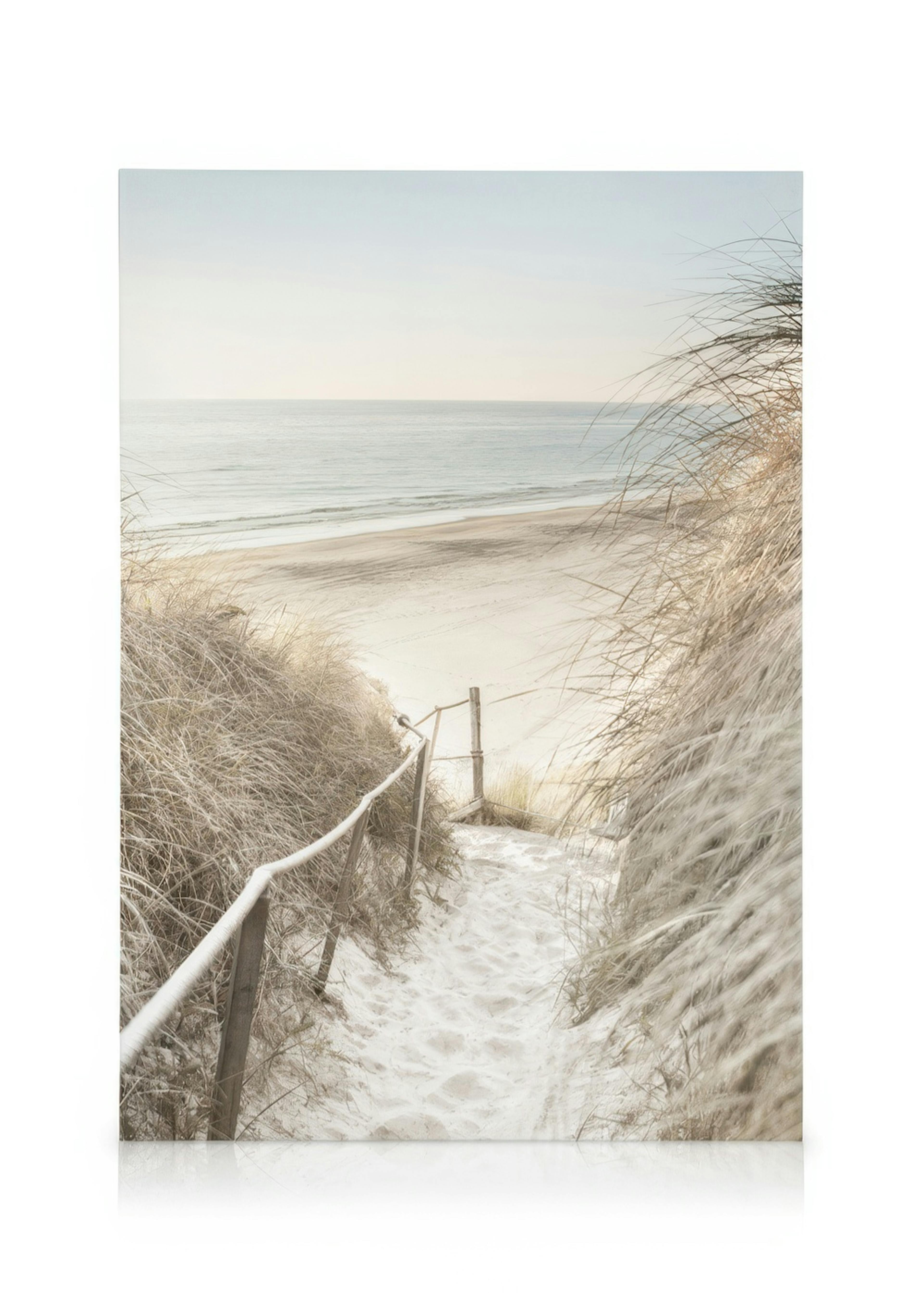 Path to Ocean Canvas print 0