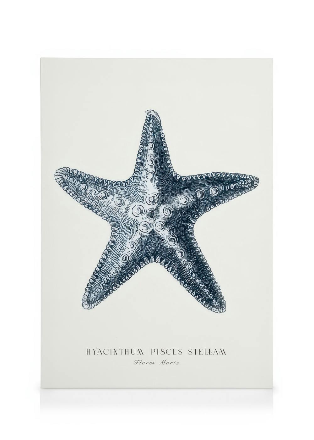 A canvas featuring a vintage-style blue starfish print with text HYACINTHUM PISCES STELLAM Flores Maris below.