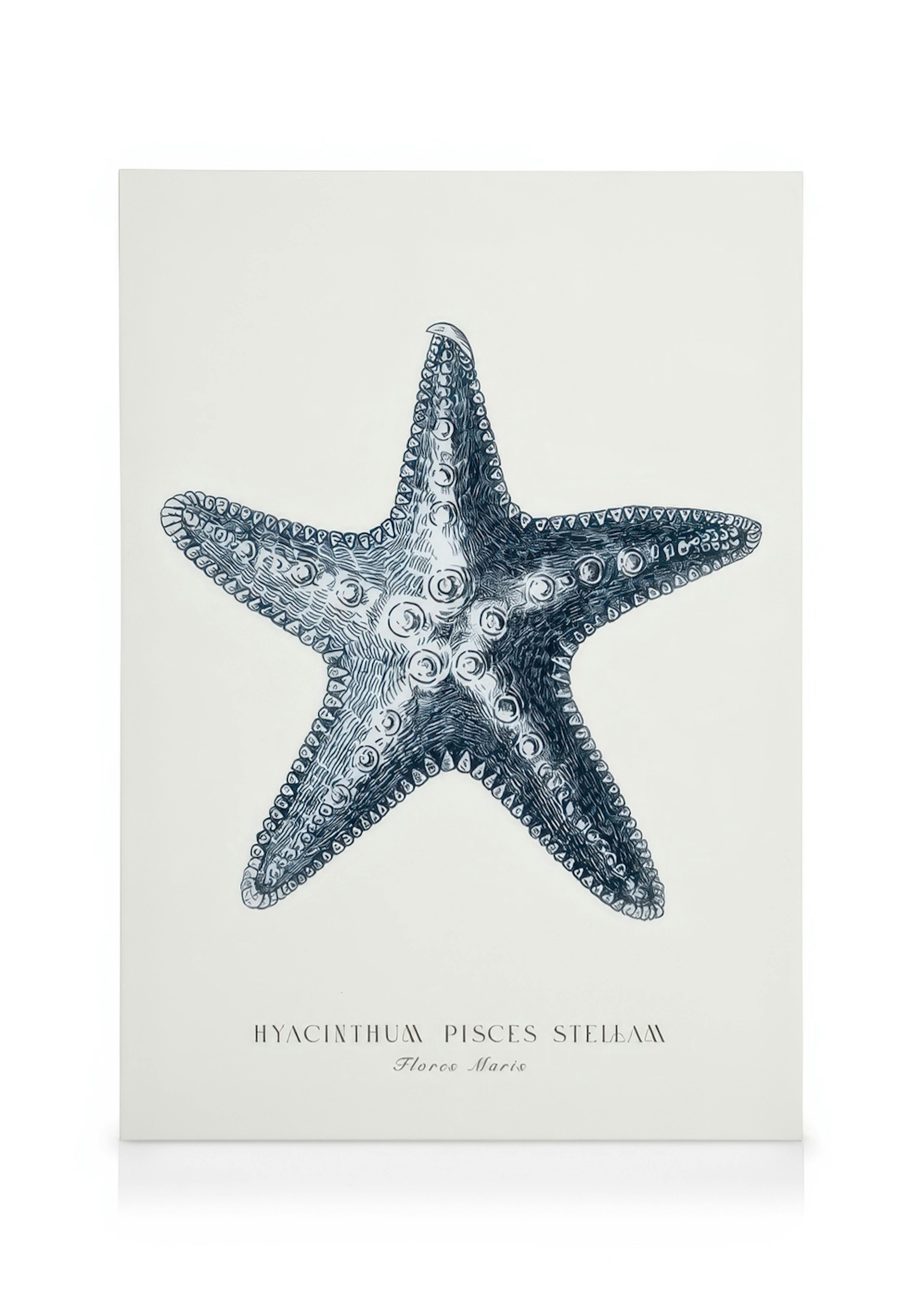 ÉToile de Mer Bleue Toile 0