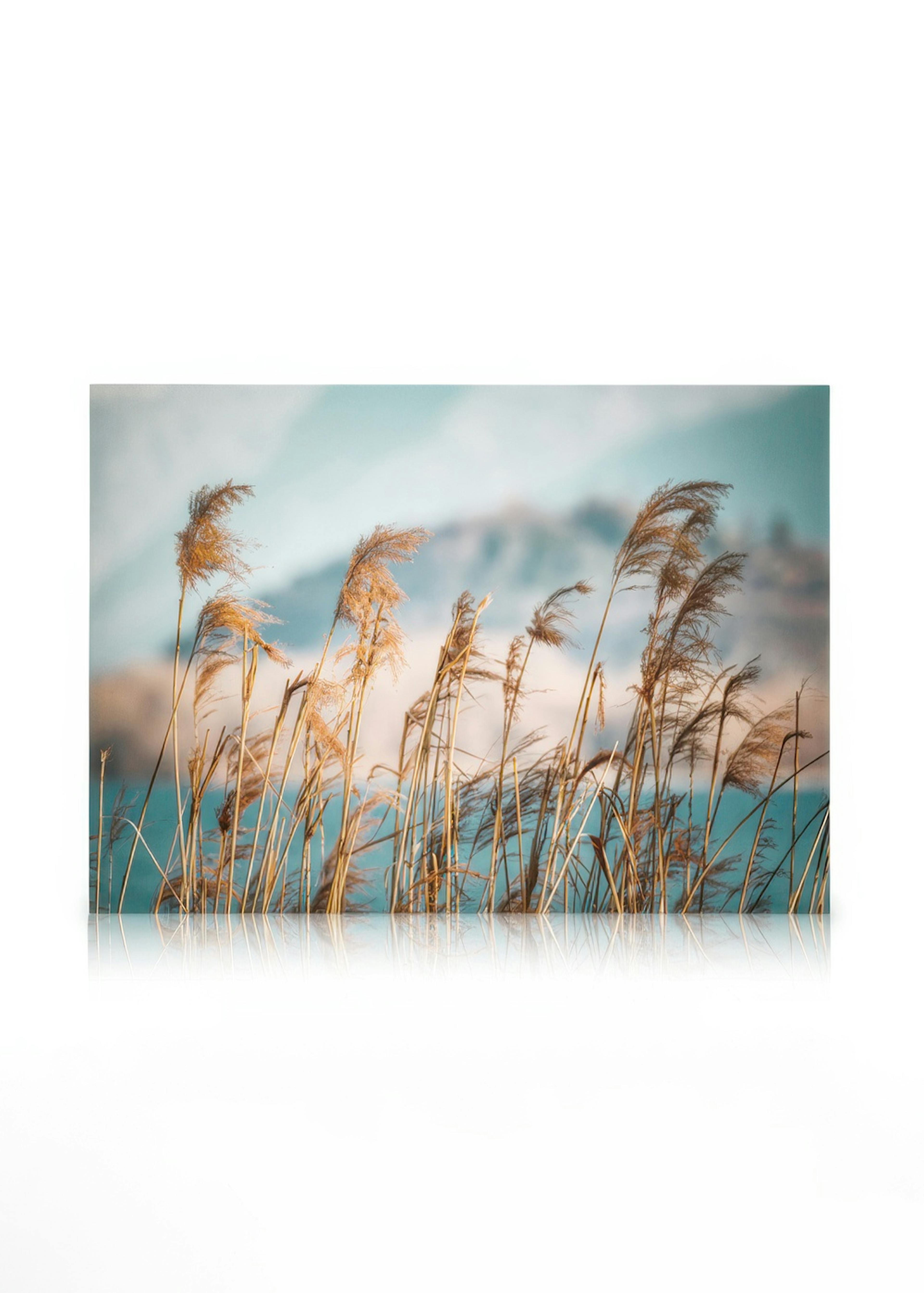 Reeds by the Lake Toile 0