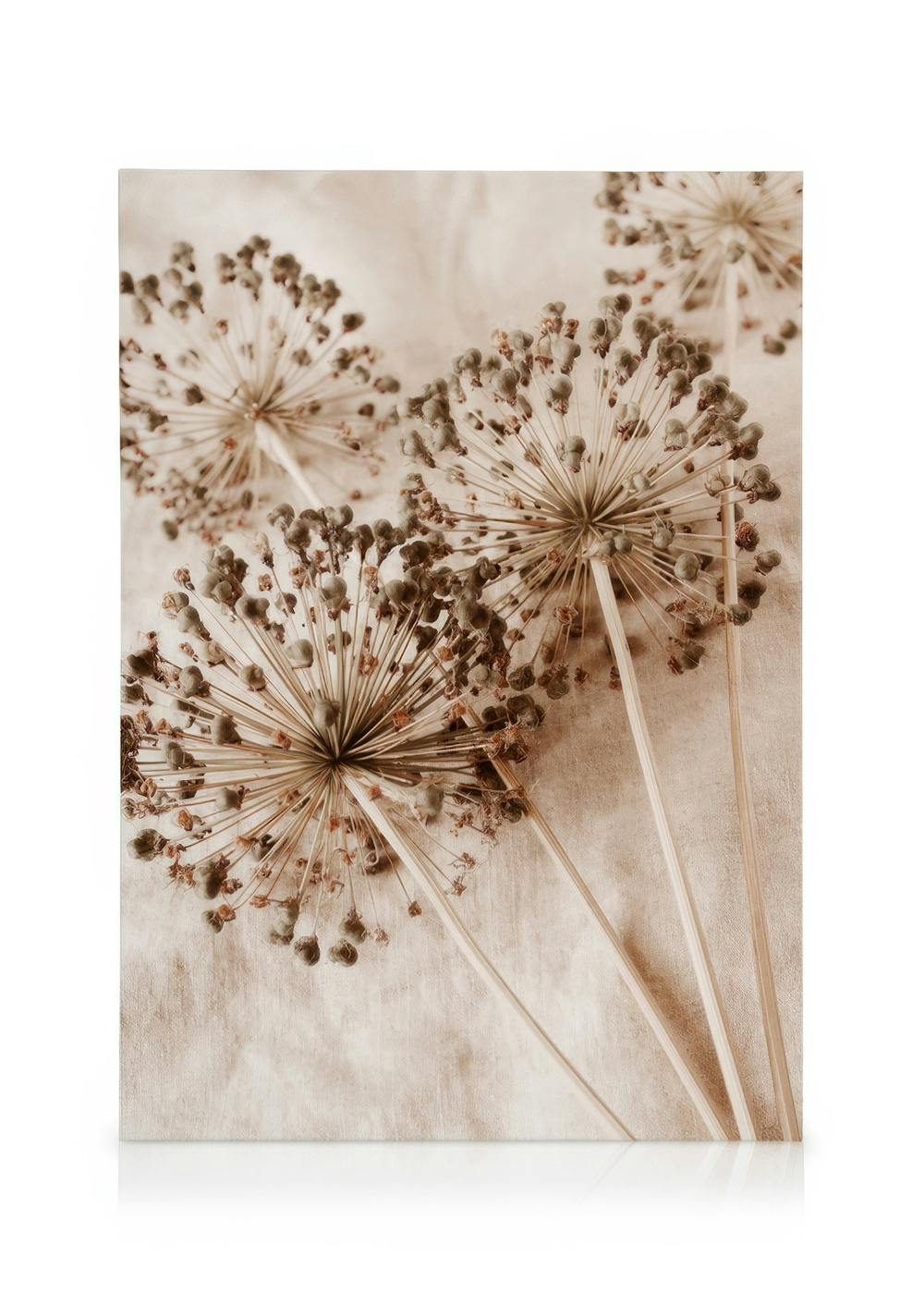 A sepia-toned canvas of dried allium flowers with seed pods on long stems, creating a natural, rustic look.
