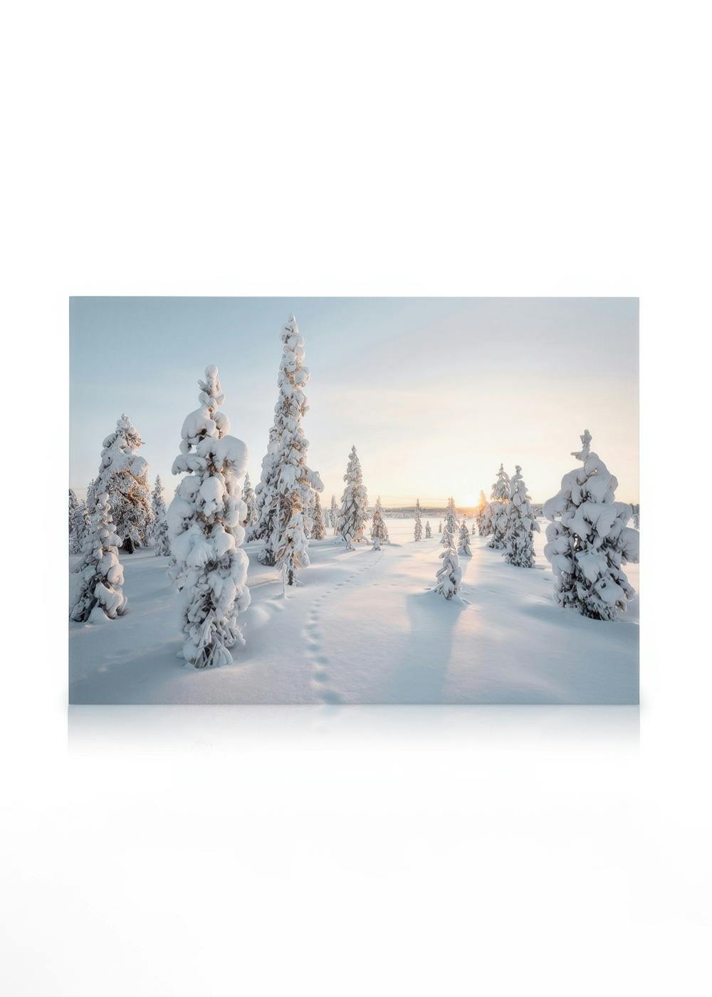Leinwandbild einer verschneiten Winterlandschaft mit Fichtenbäumen und Spuren im Schnee bei Sonnenaufgang.