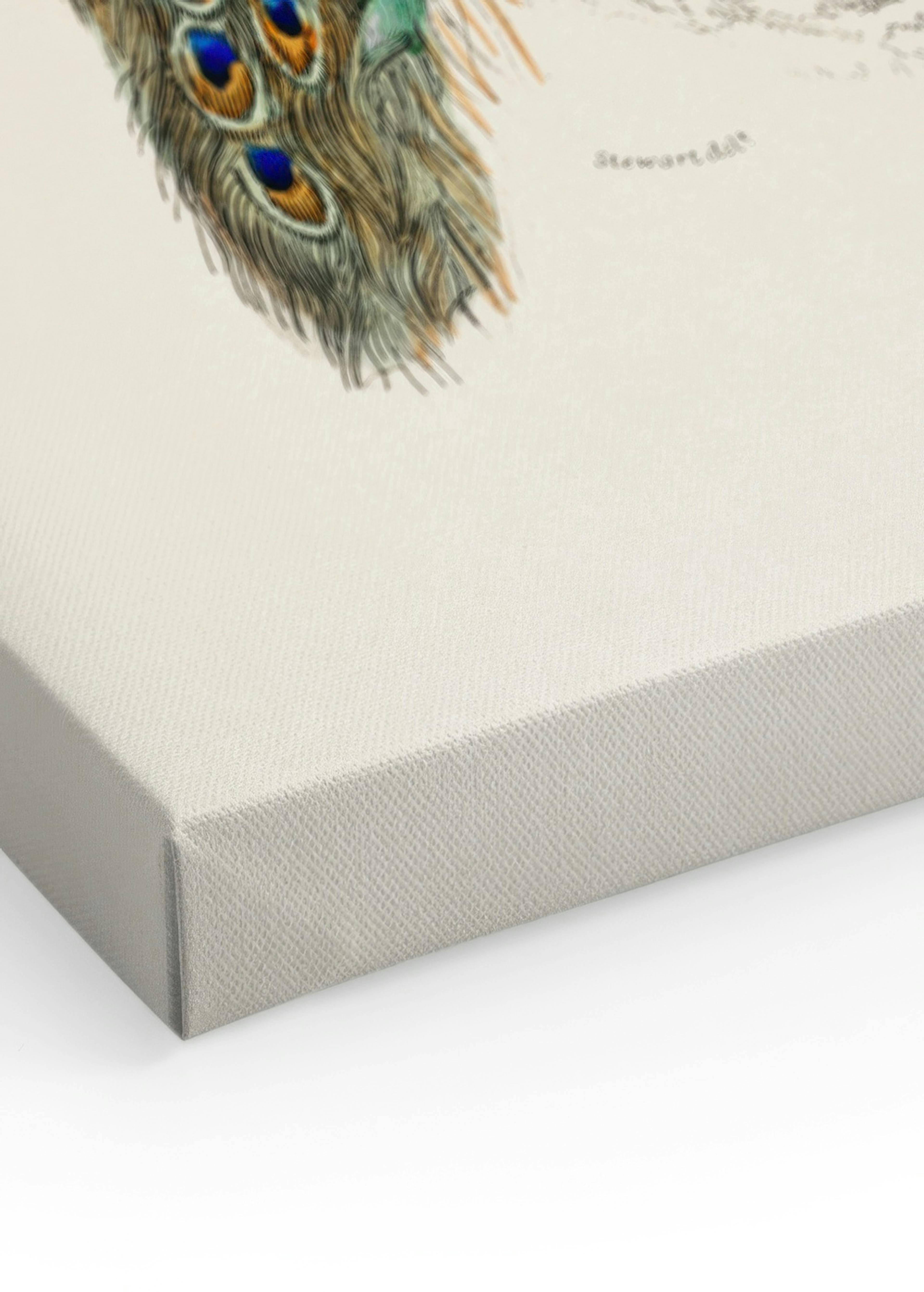 Peafowl Portrait Toile thumbnail