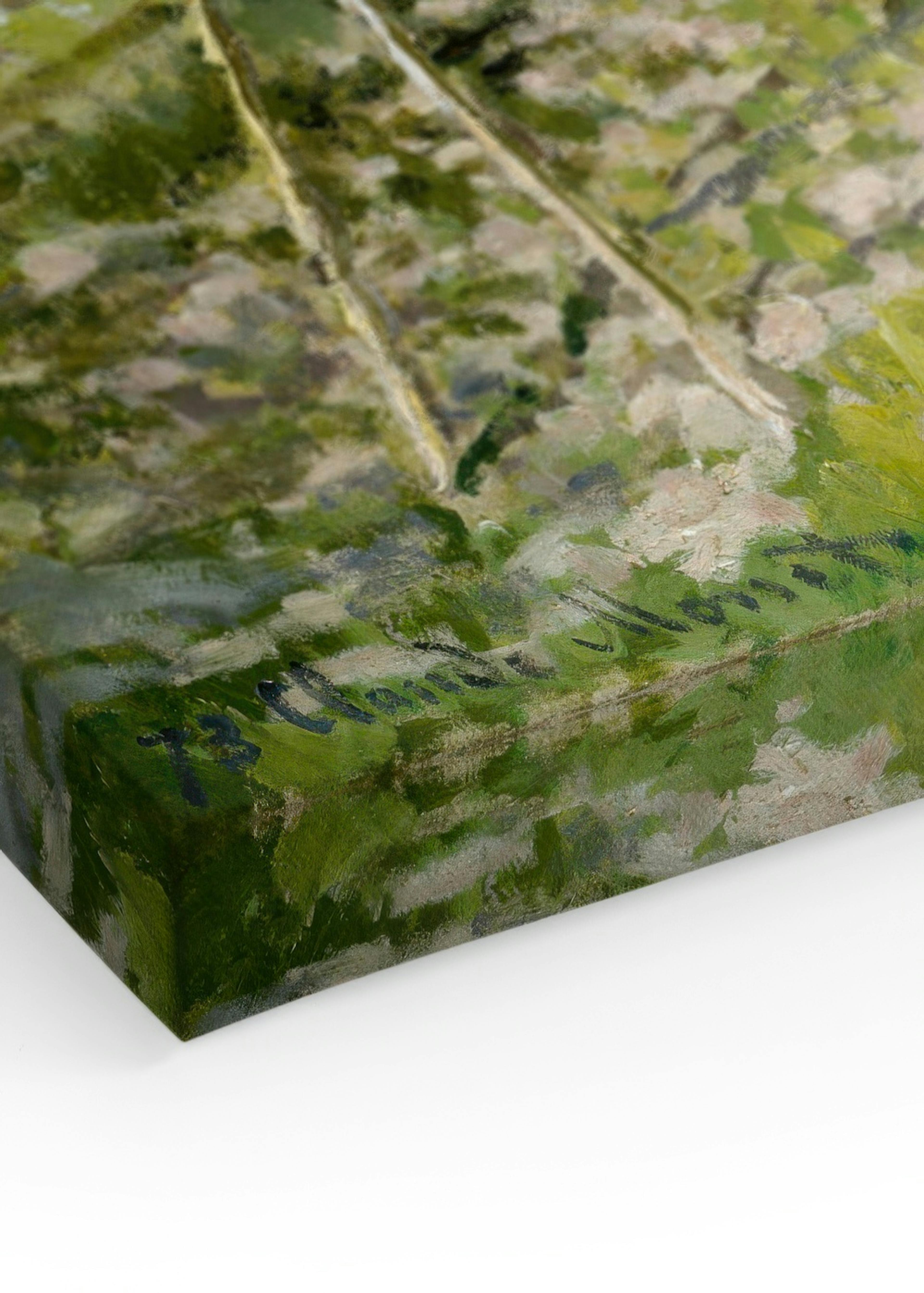 Monet - Spring (Fruit Trees in Bloom) Leinwand thumbnail