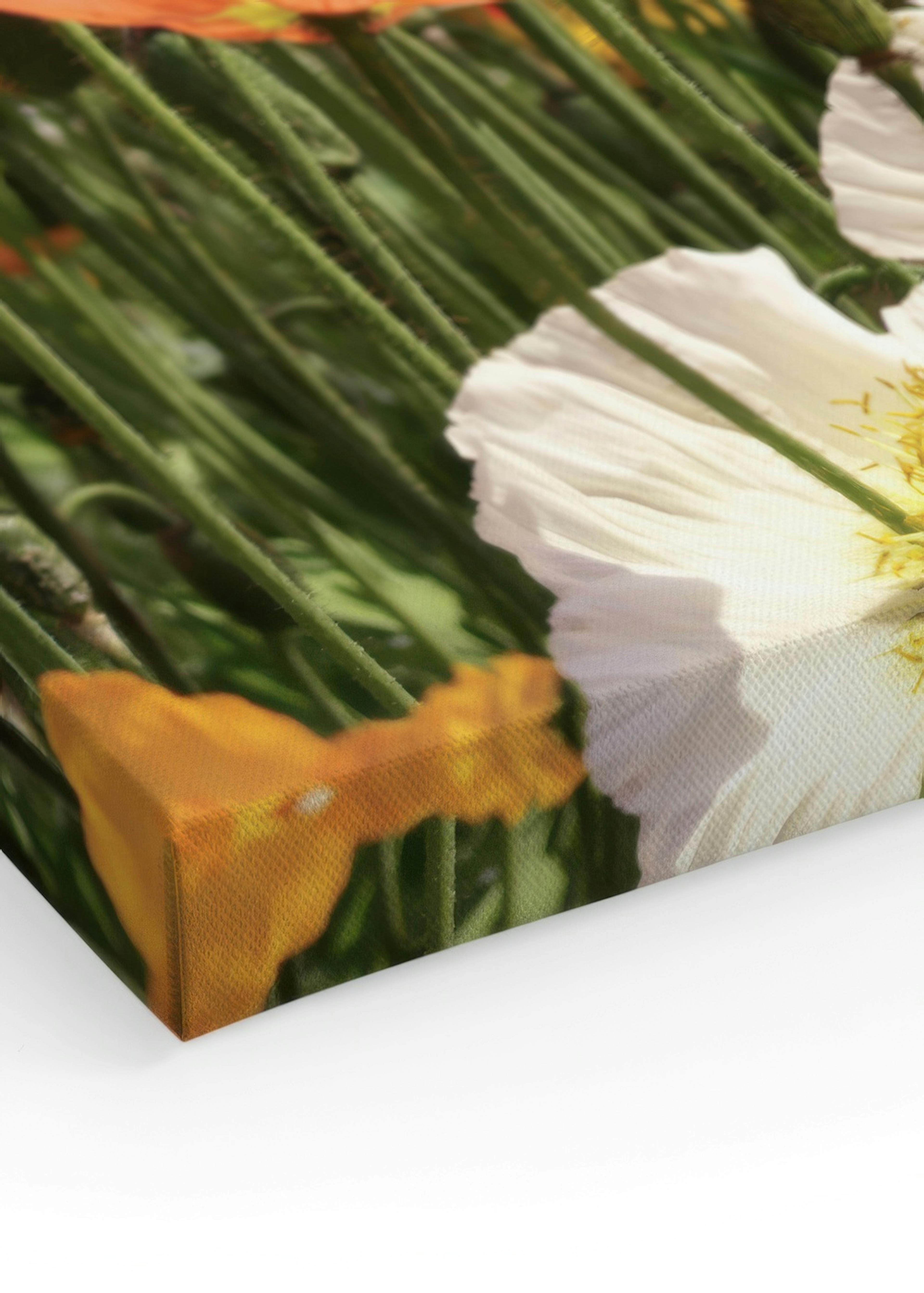 Field of Flowers Canvas print thumbnail