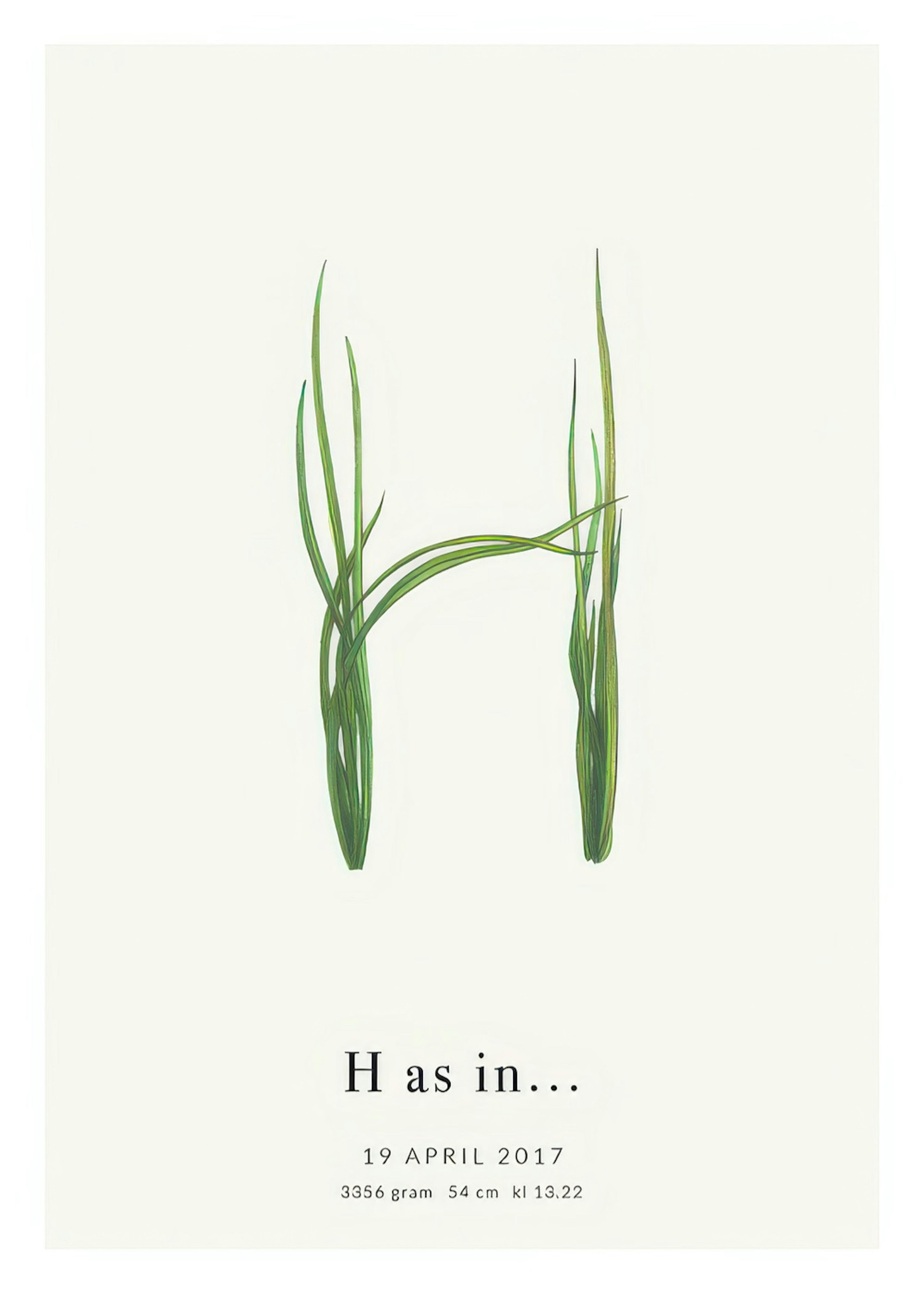 Botanischer Buchstabe H Personalisiert Poster thumbnail