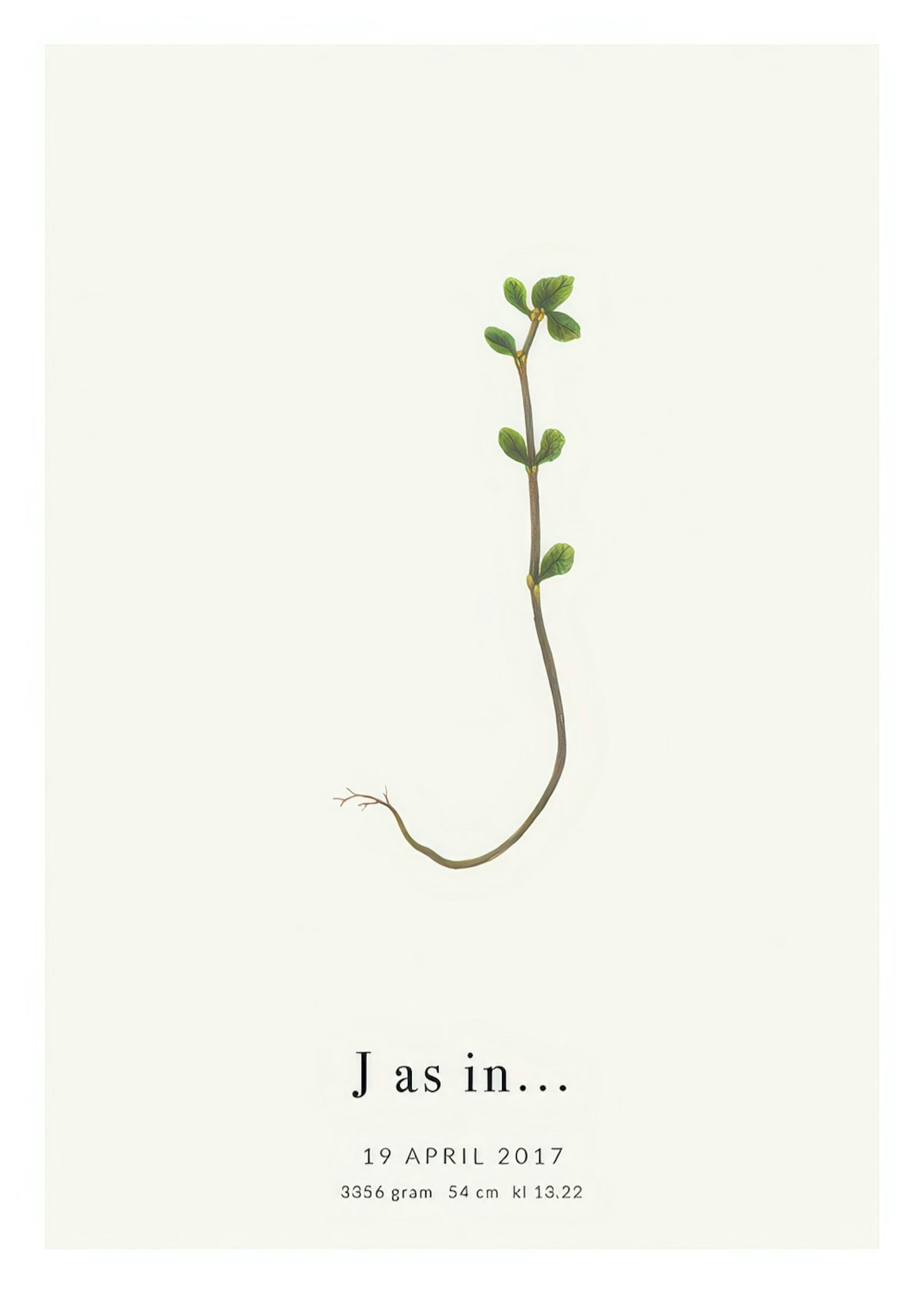 Lettera botanica J poster personalizzato thumbnail