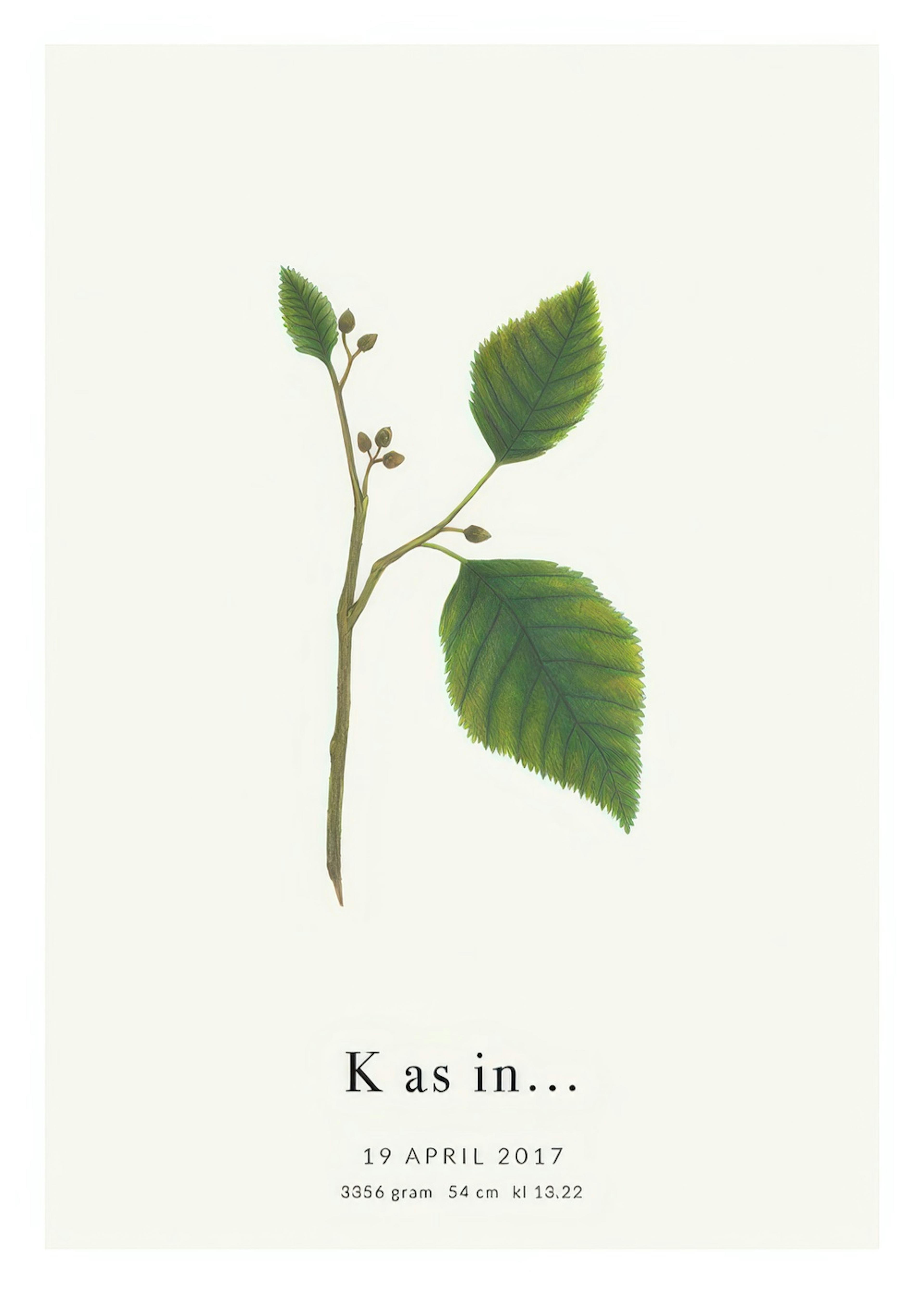 Letra K botánica póster personal thumbnail