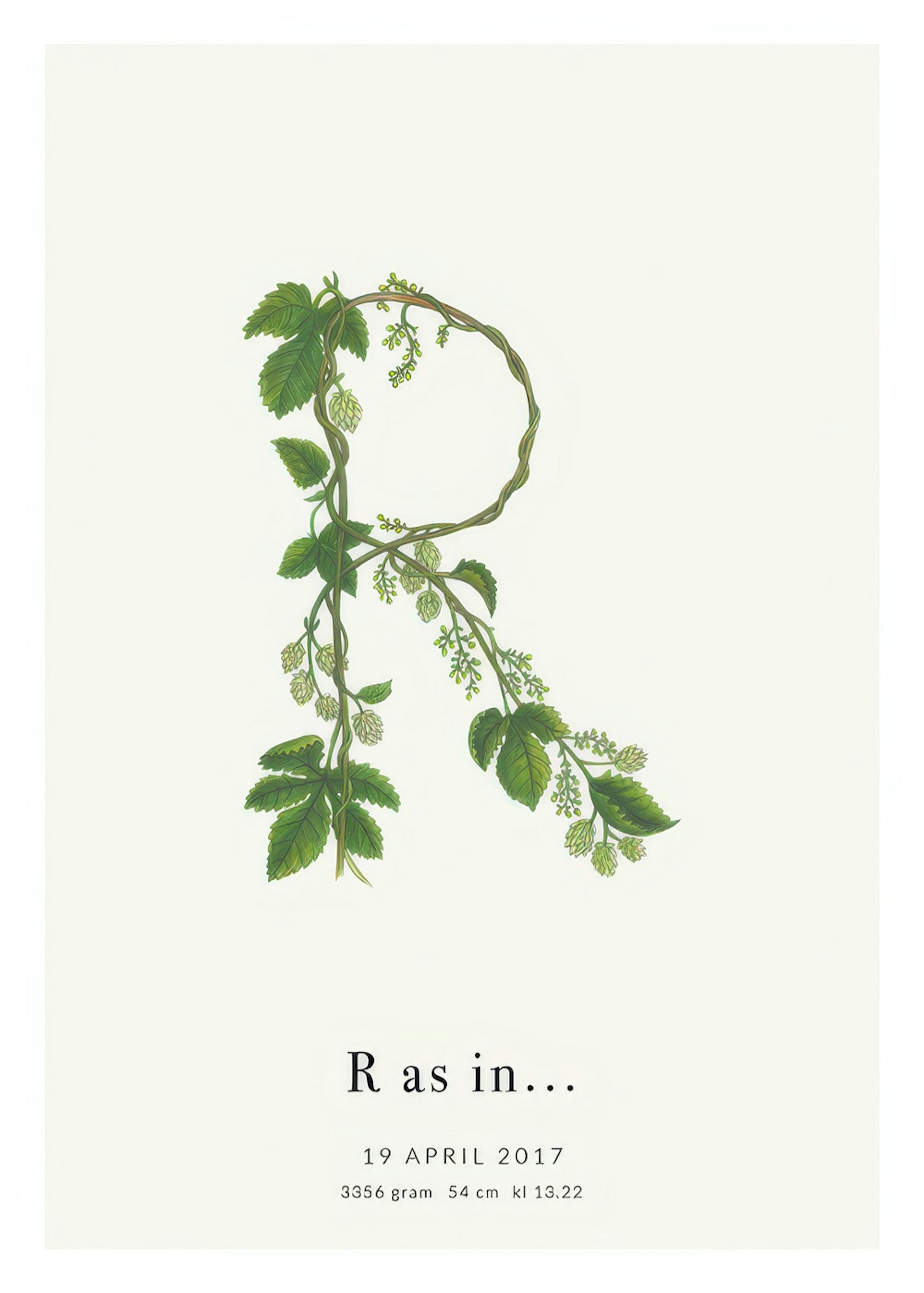 Botanisk bogstav R personlig plakat thumbnail