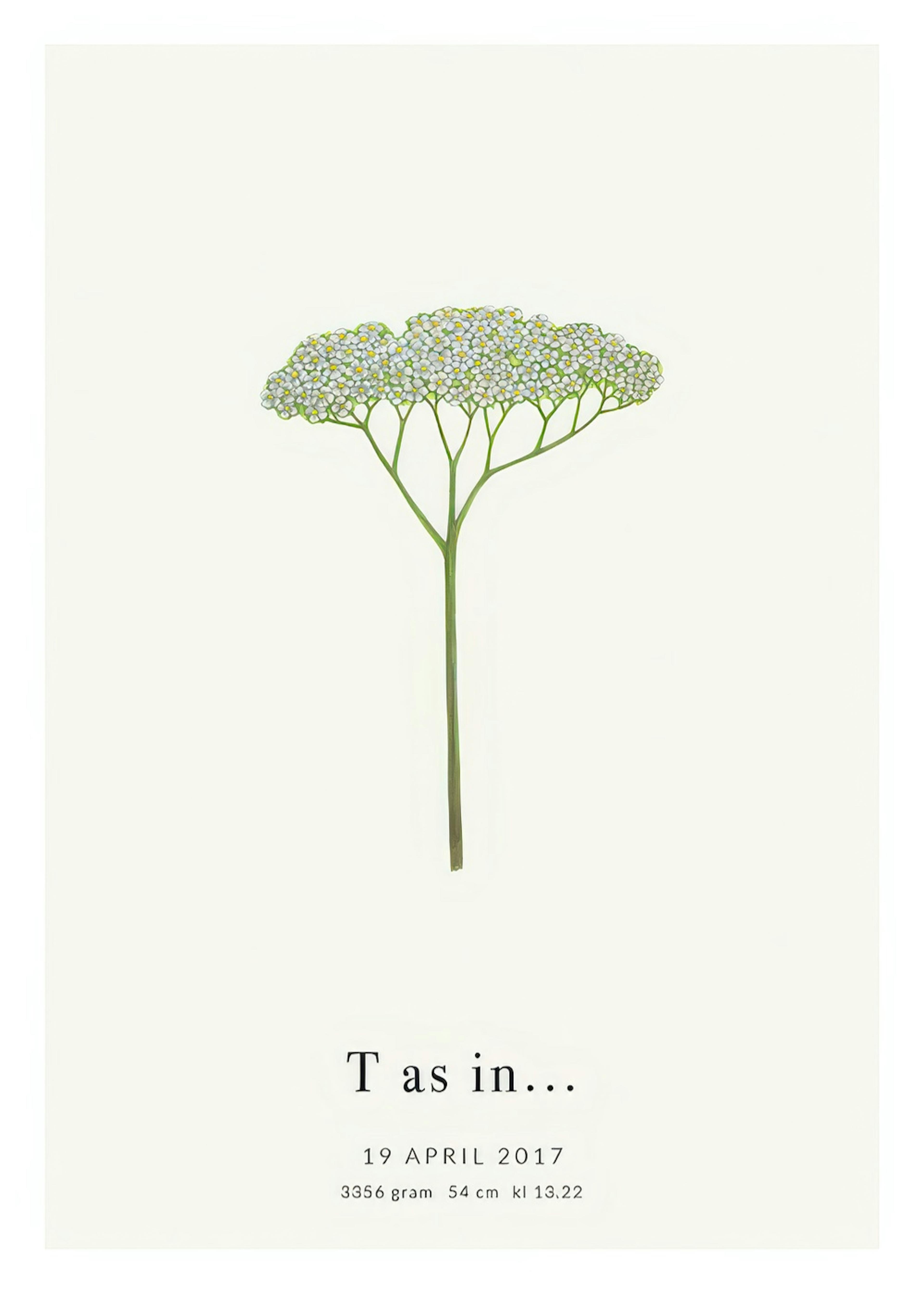 Lettera Botanica T poster personalizzato thumbnail